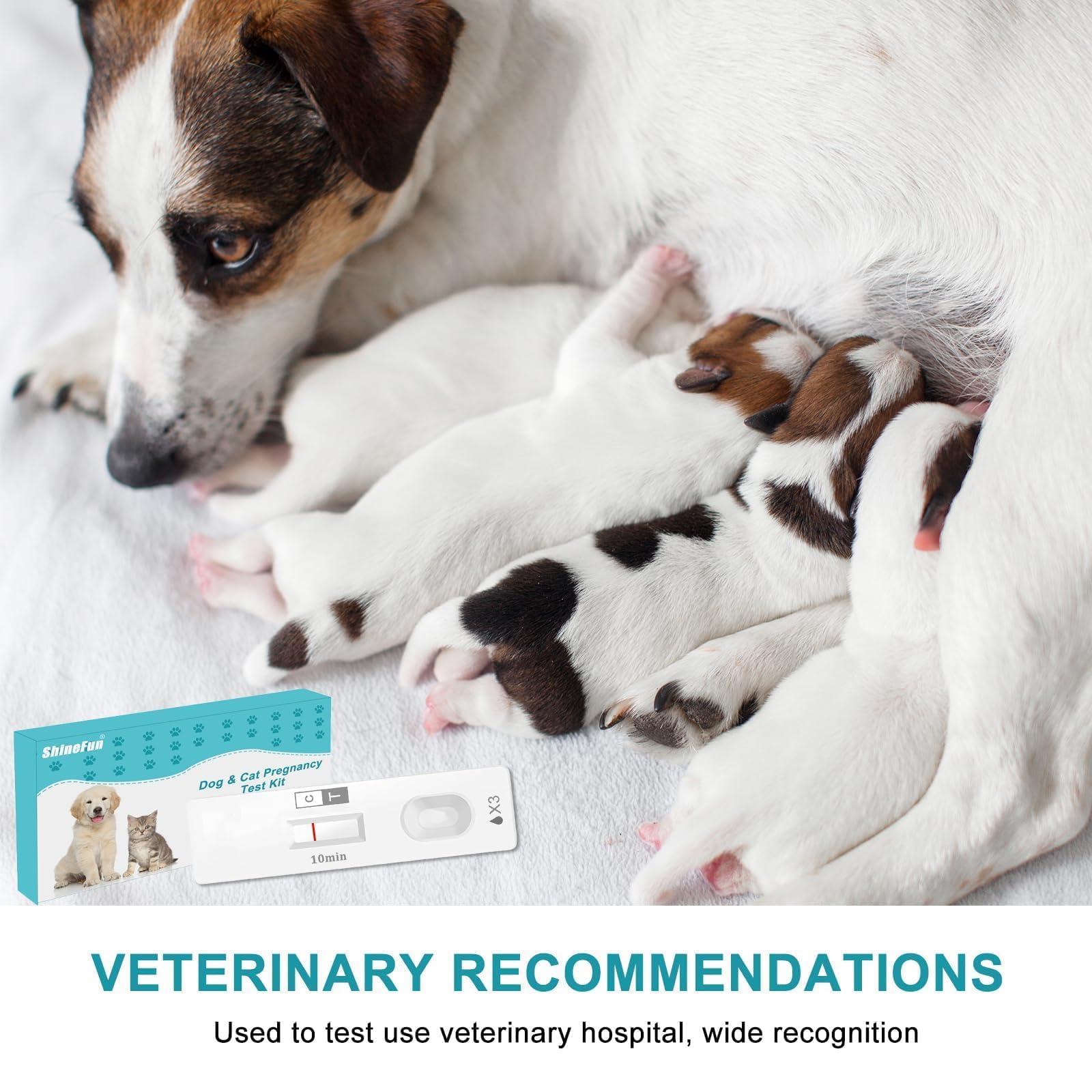 Dog & Cat Pregnancy Test Kit at Home — Urine-Based, 98.8% Accurate, 10-Minute Results