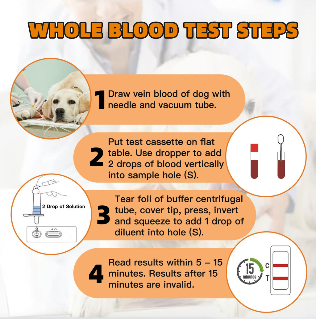 Dog Pregnancy Test Kit at Home – Early Detection, Fast & Accurate