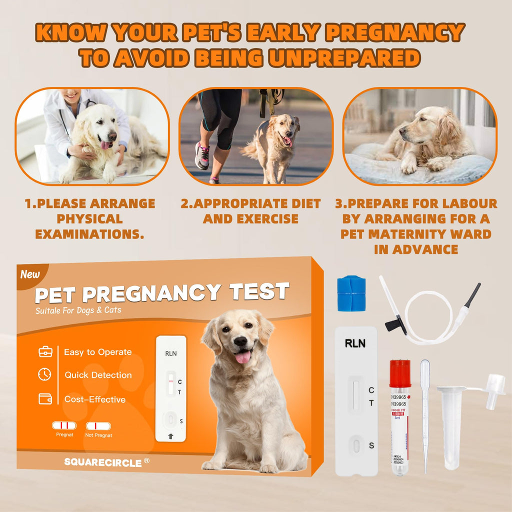 Dog Pregnancy Test Kit at Home – Early Detection, Fast & Accurate