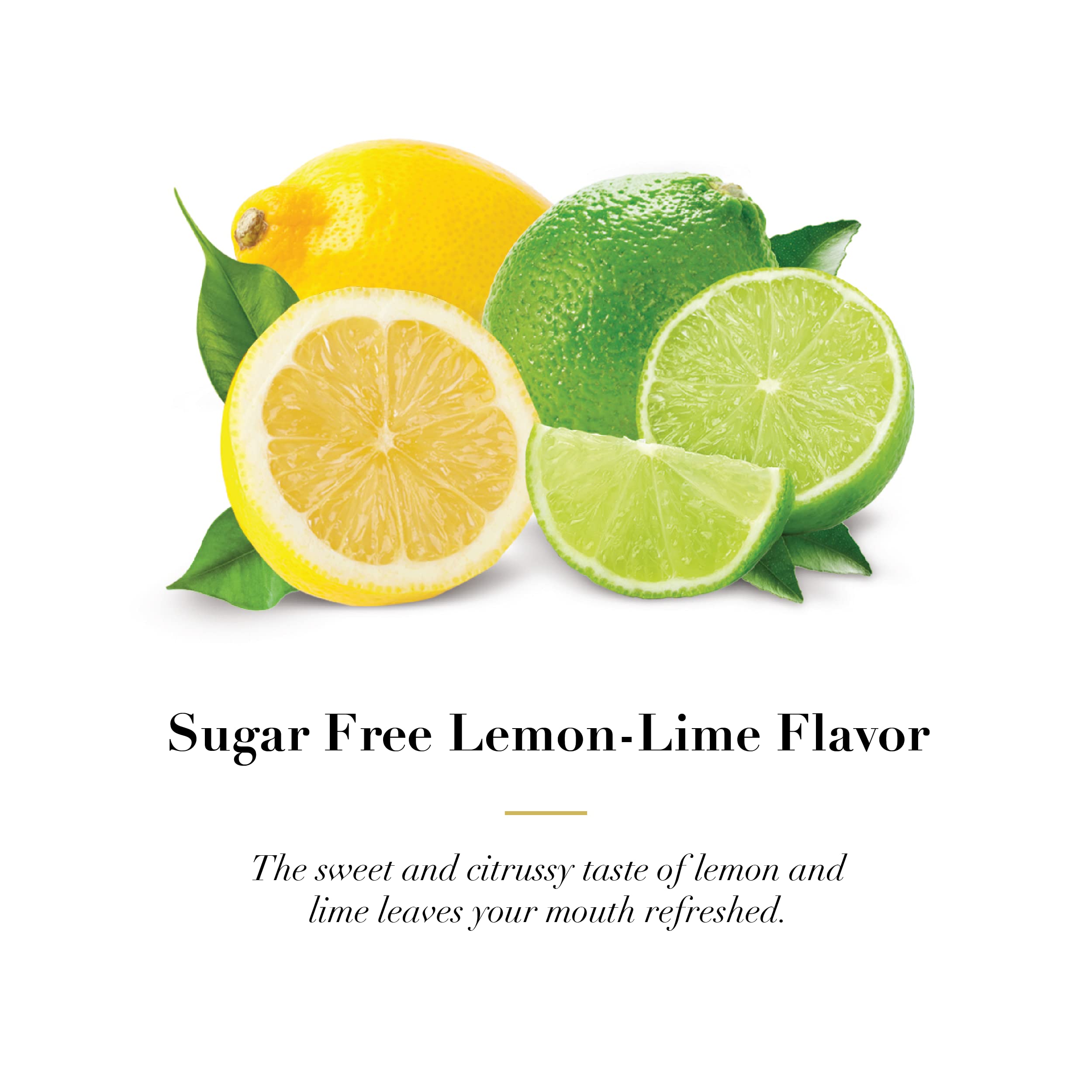 DOOLITTLE Dr Sugar Free Soft Fruit Pastilles for Voice and Throat – Lemon Lime, 2.12 oz Tin, Approximately 25 Count