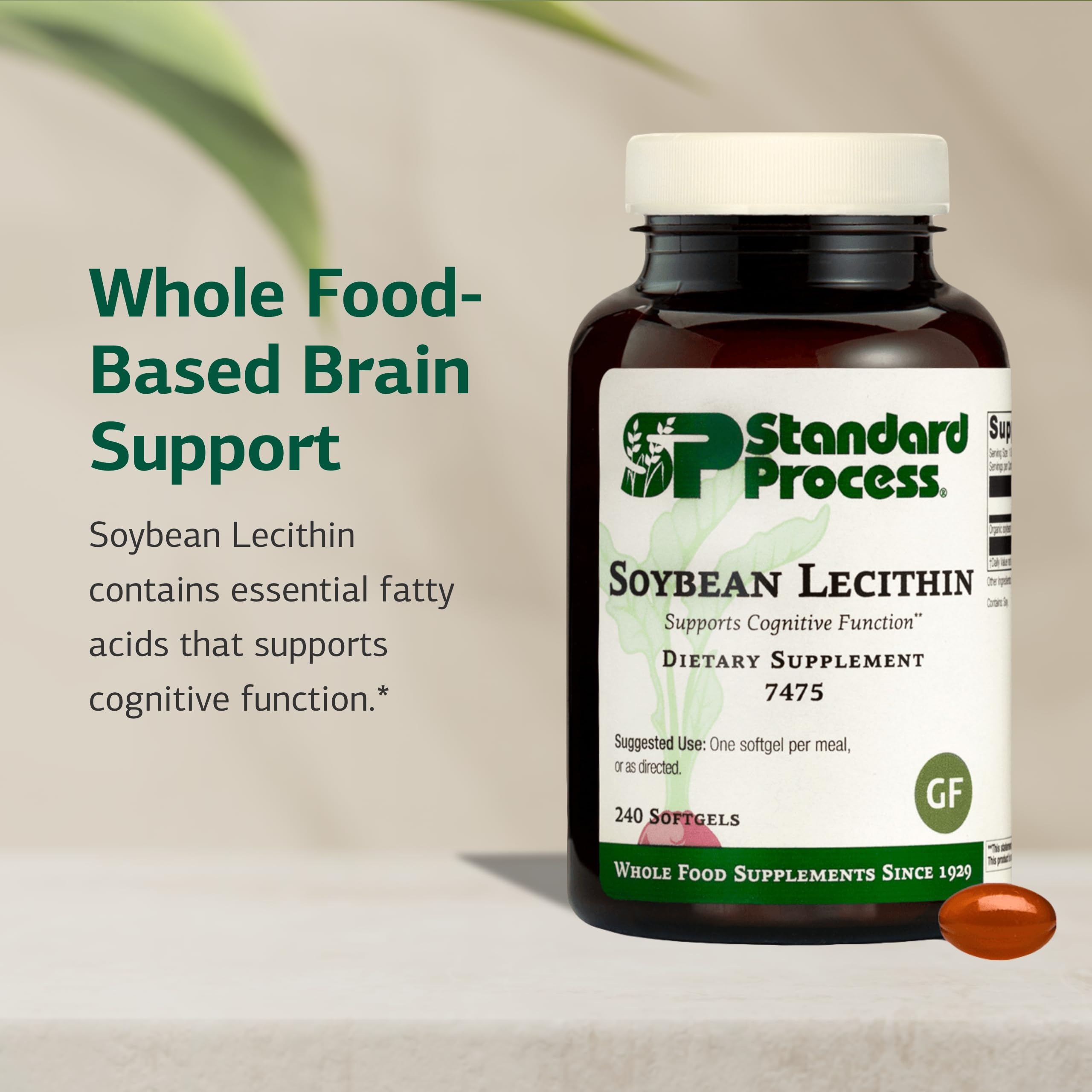 Standard Process Soybean Lecithin – Brain Health Support, 240 Softgels