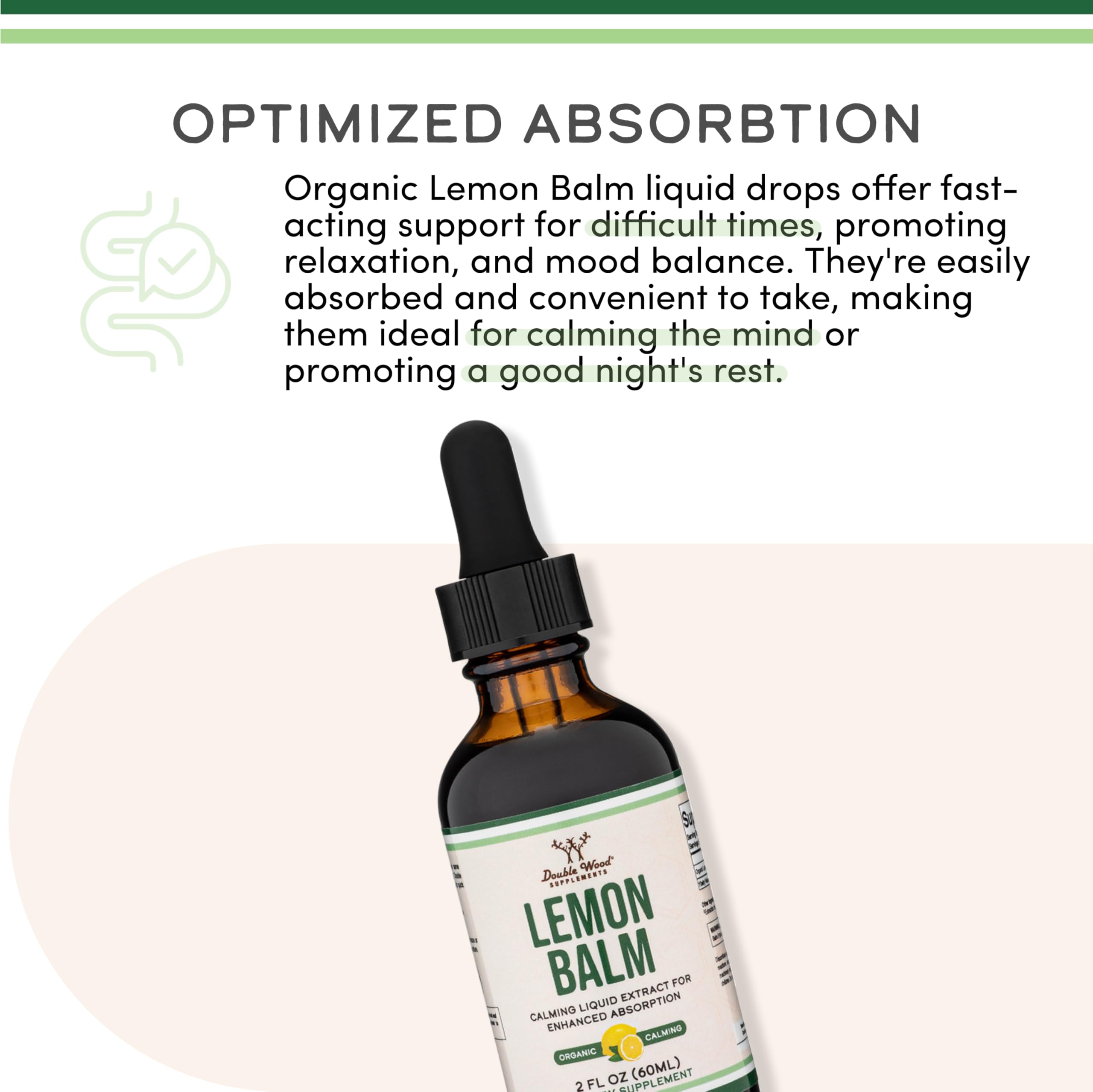 Organic Lemon Balm Tincture 590mg – Digestion & Relaxation, 2 oz | 120 Servings