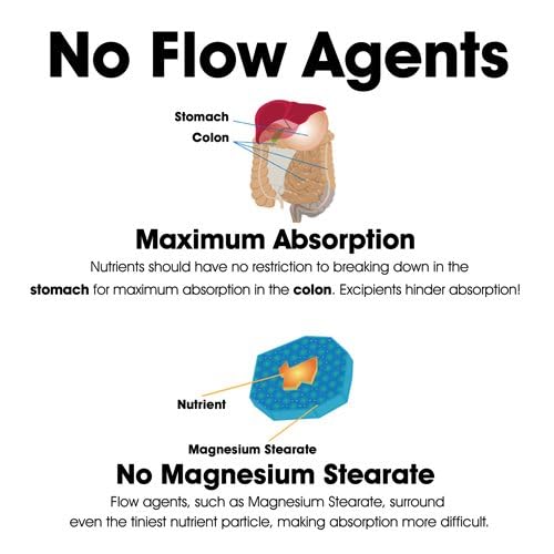 Dr. Clark Niacin 500 (Vitamin B3) Supplement – 500 mg Niacin, 100 Capsules