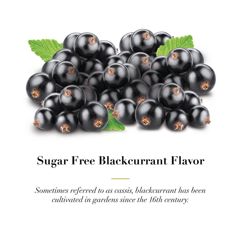 Dr. Doolittle’s Sugar Free Pastilles – Blackcurrant for Voice & Throat | Travel Size 4 Count, 6 Pack