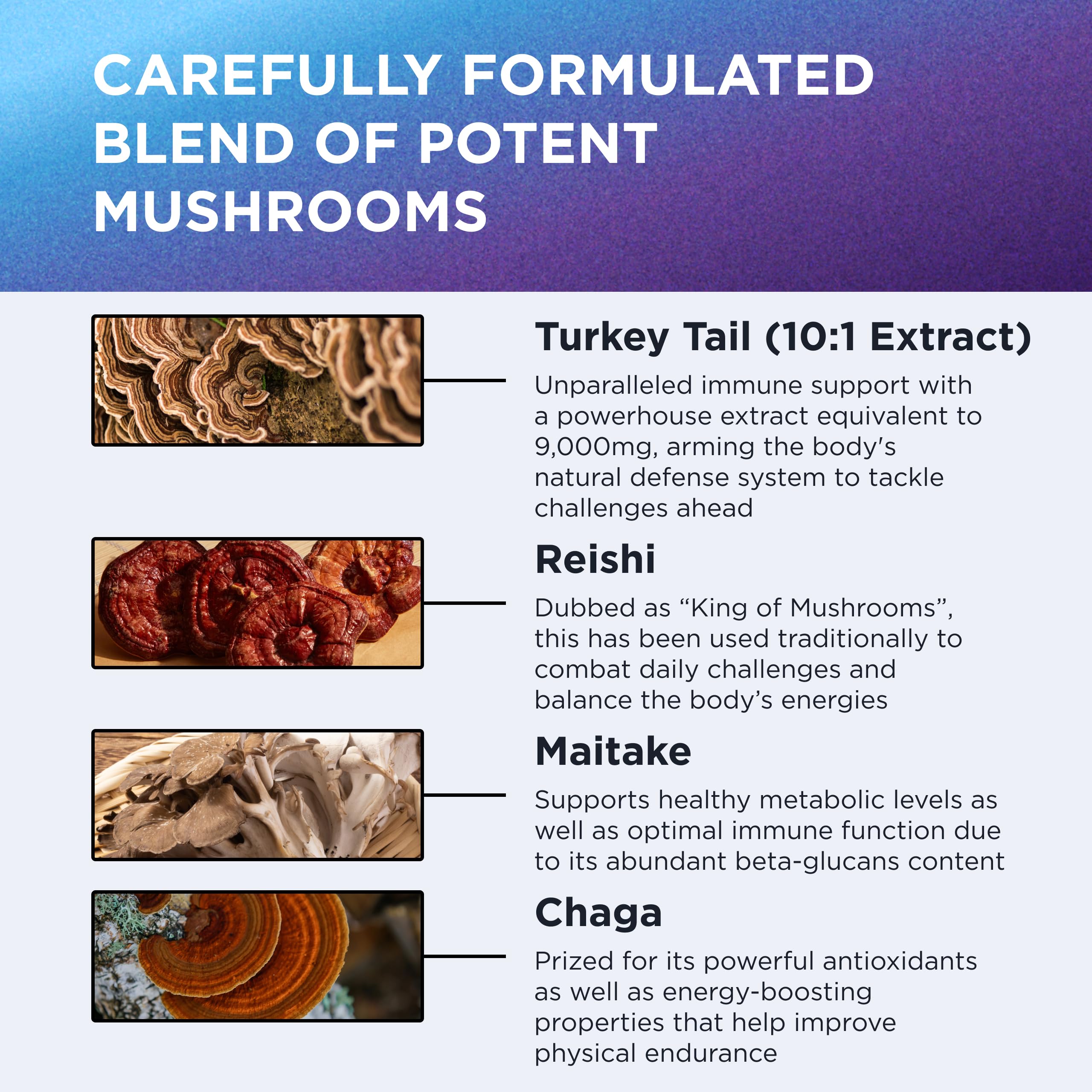 Dr. Emil Nutrition Elite Turkey Tail Twin Pack | Immune & Gut Health