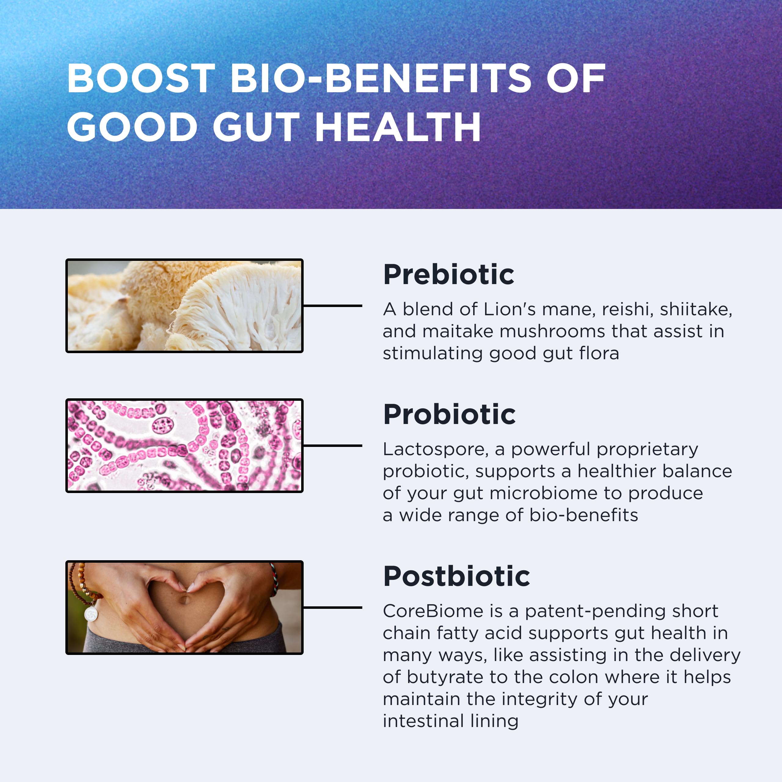 DR. EMIL NUTRITION Total Gut Health Complex – Prebiotic, Probiotic & Postbiotic Supplement – Supports Digestive Health, Bloating & Gut Balance – Non-GMO & Soy-Free – 60 Capsules