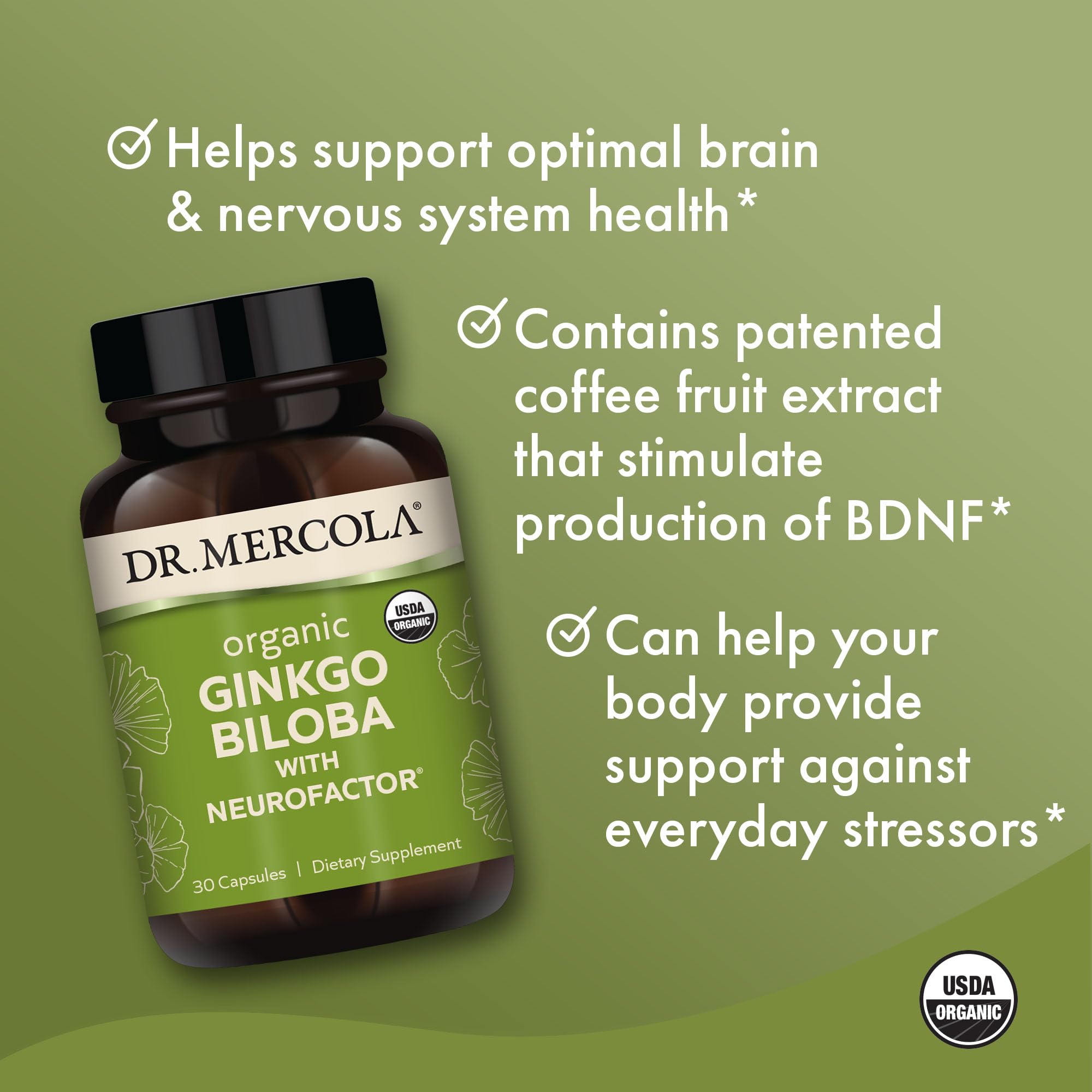 Dr. Mercola Organic Ginkgo Biloba with NeuroFactor – Brain Health Support – 30 Capsules