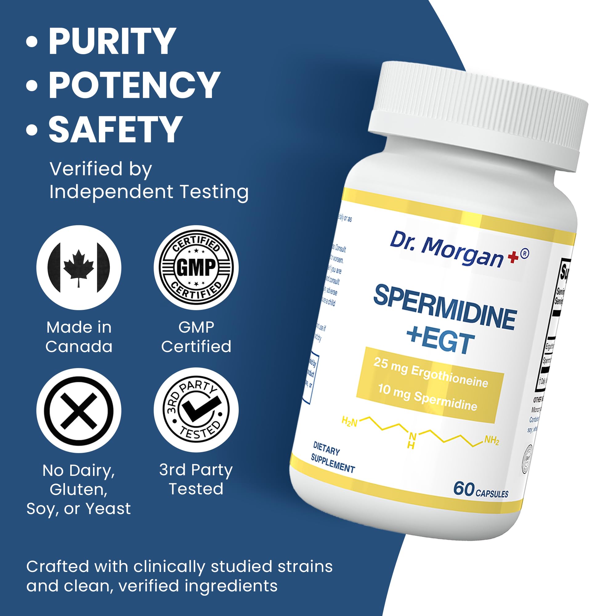 Dr. Morgan Spermidine & Ergothioneine – 99% Purity, Third-Party Tested