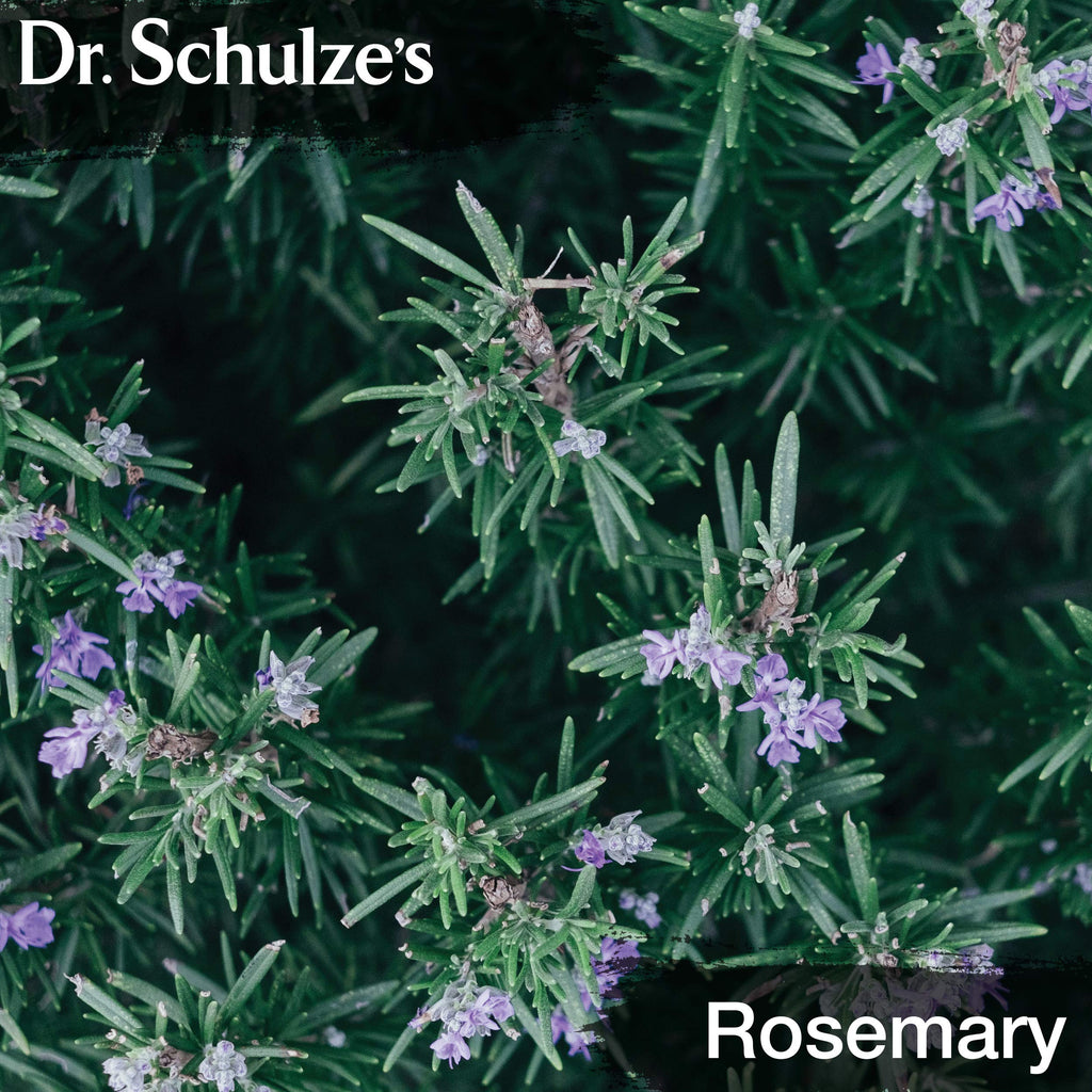 Dr. Schulze's Brain Formula 2 oz - Vegan & Wild-Harvested | Mental Focus