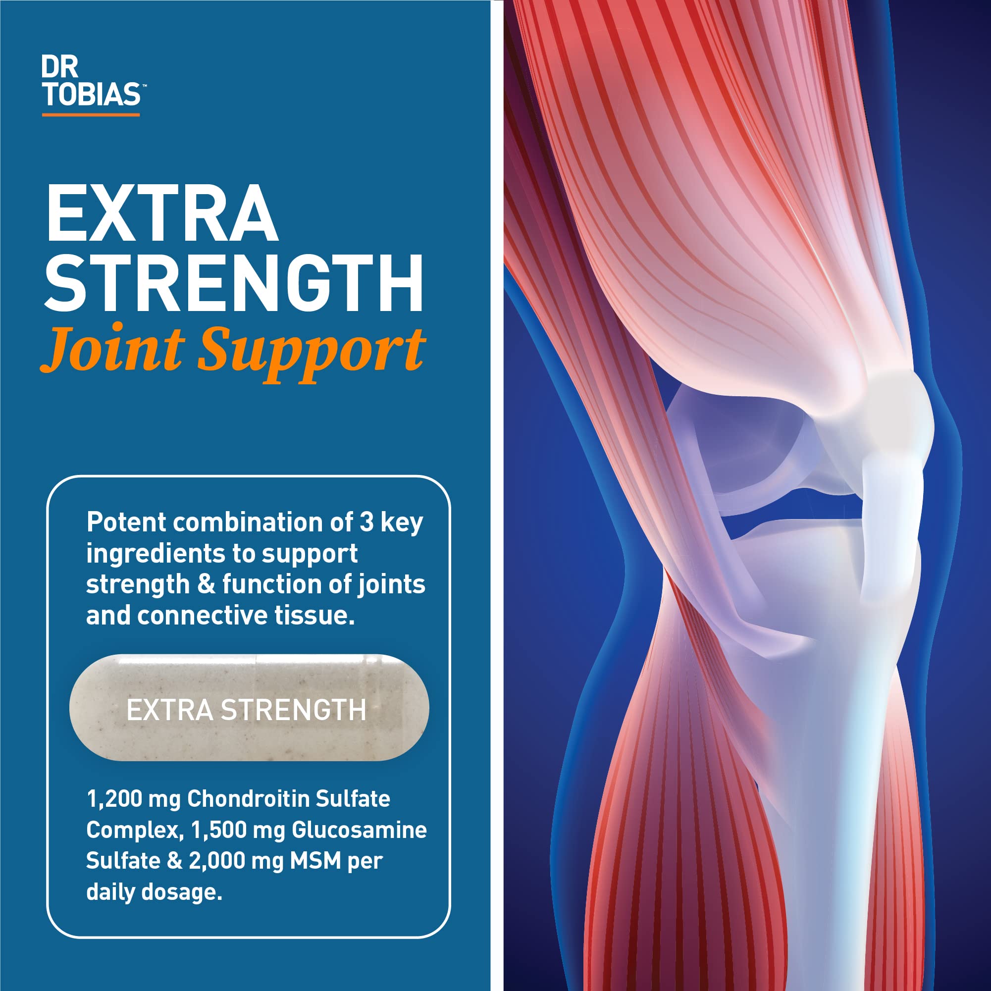 Dr. Tobias Joint Support - Glucosamine, Chondroitin & MSM, 240 Capsules