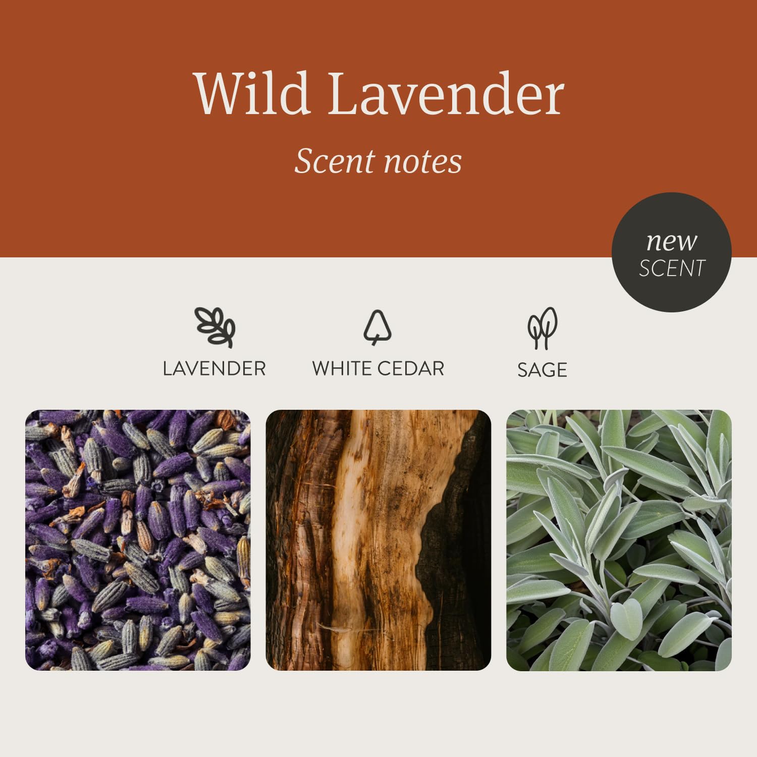 Drift Wild Lavender Scented Premium Candle - 10.5 oz, 60 Day Burn Time