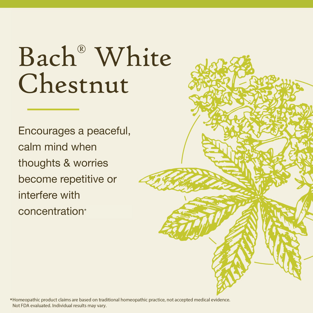 Bach White Chestnut Flower Remedy – Calm the Mind | 20mL Dropper