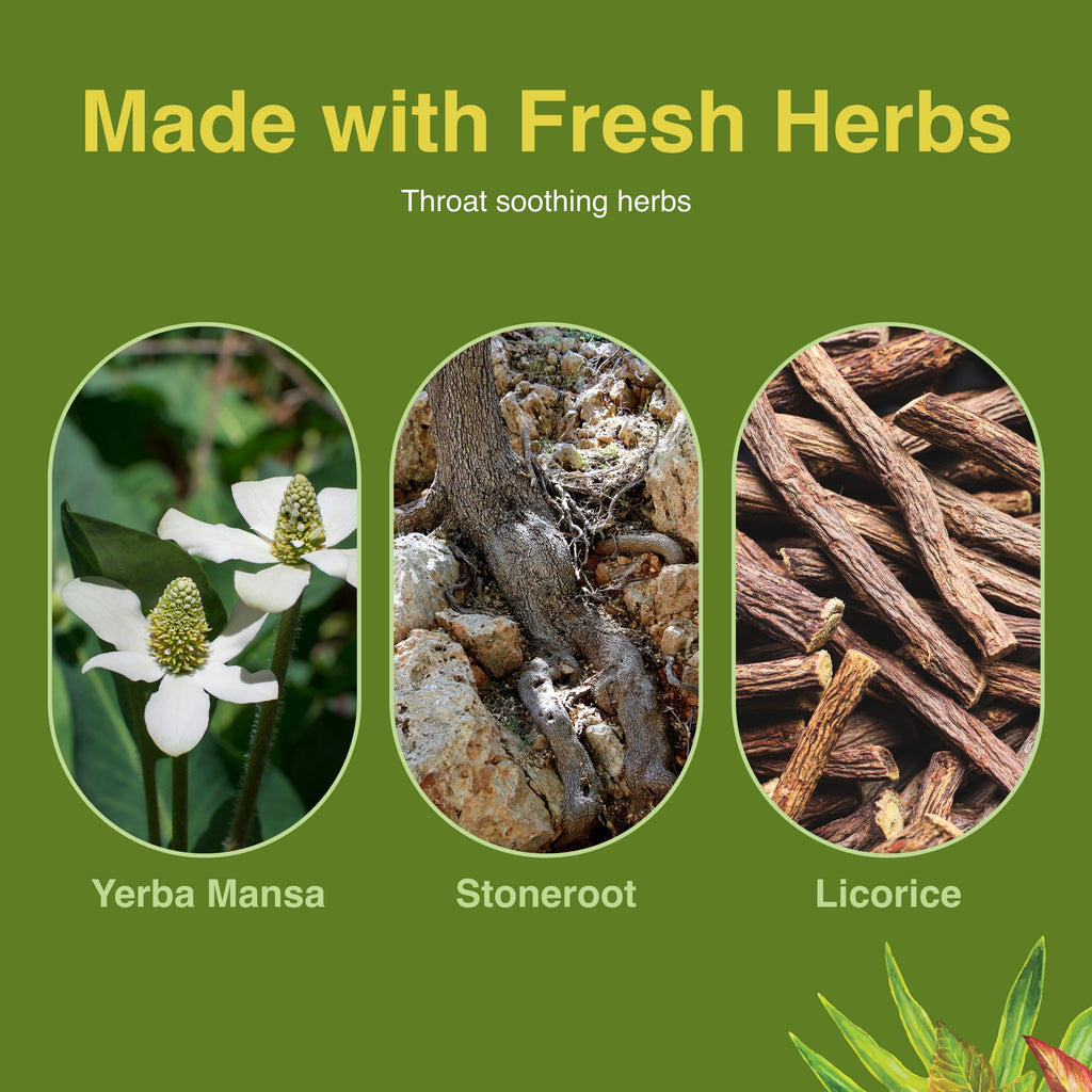 Herbs Etc. Singer's Saving Grace Honey Lemon – Herbal Throat Spray (1 oz)