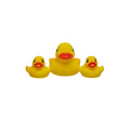 Vital Baby Splash Bath Toy - Ducks