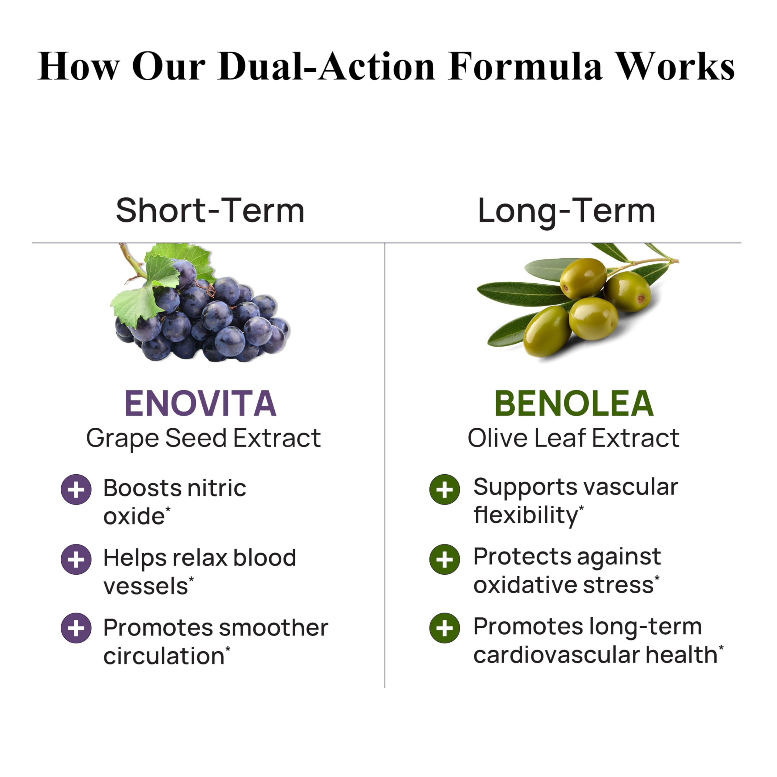 Durable Blood Pressure - Benolea Olive Leaf & Enovita Grape Seed Extract - Doctor Formulated, Vegan, Non-GMO, Made in USA (180 Capsules)