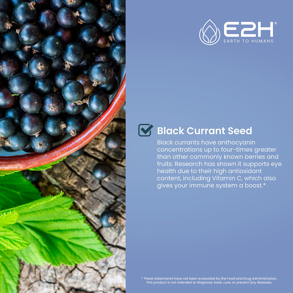 E2H Natural Black Currant Extract – Cold Pressed Seed, Immune Support, Fast-Absorbing Liquid (2 Bottles)