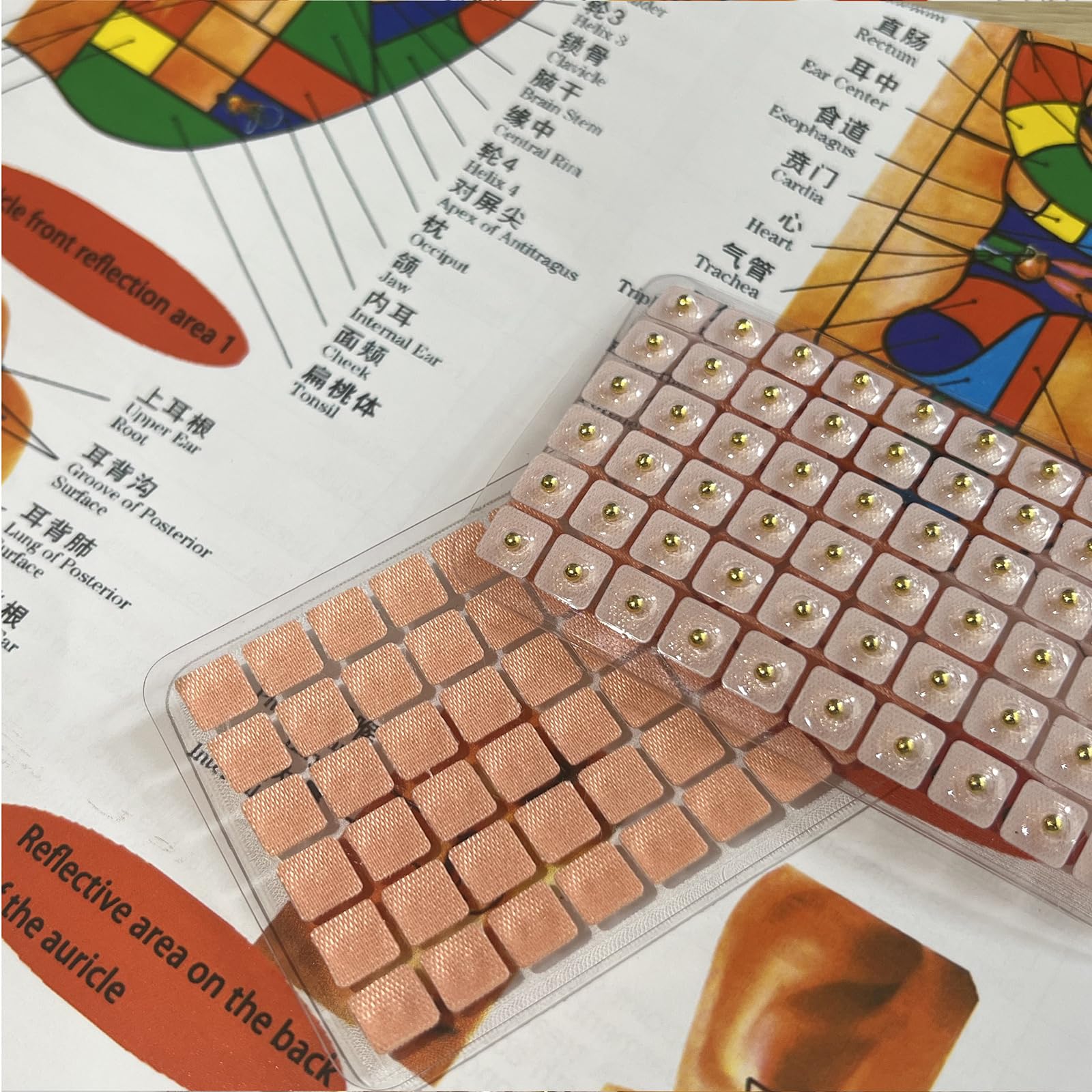 Ear Seeds Acupuncture Kit - 300 Pieces with Chart & Tweezers | Balance & Wellness