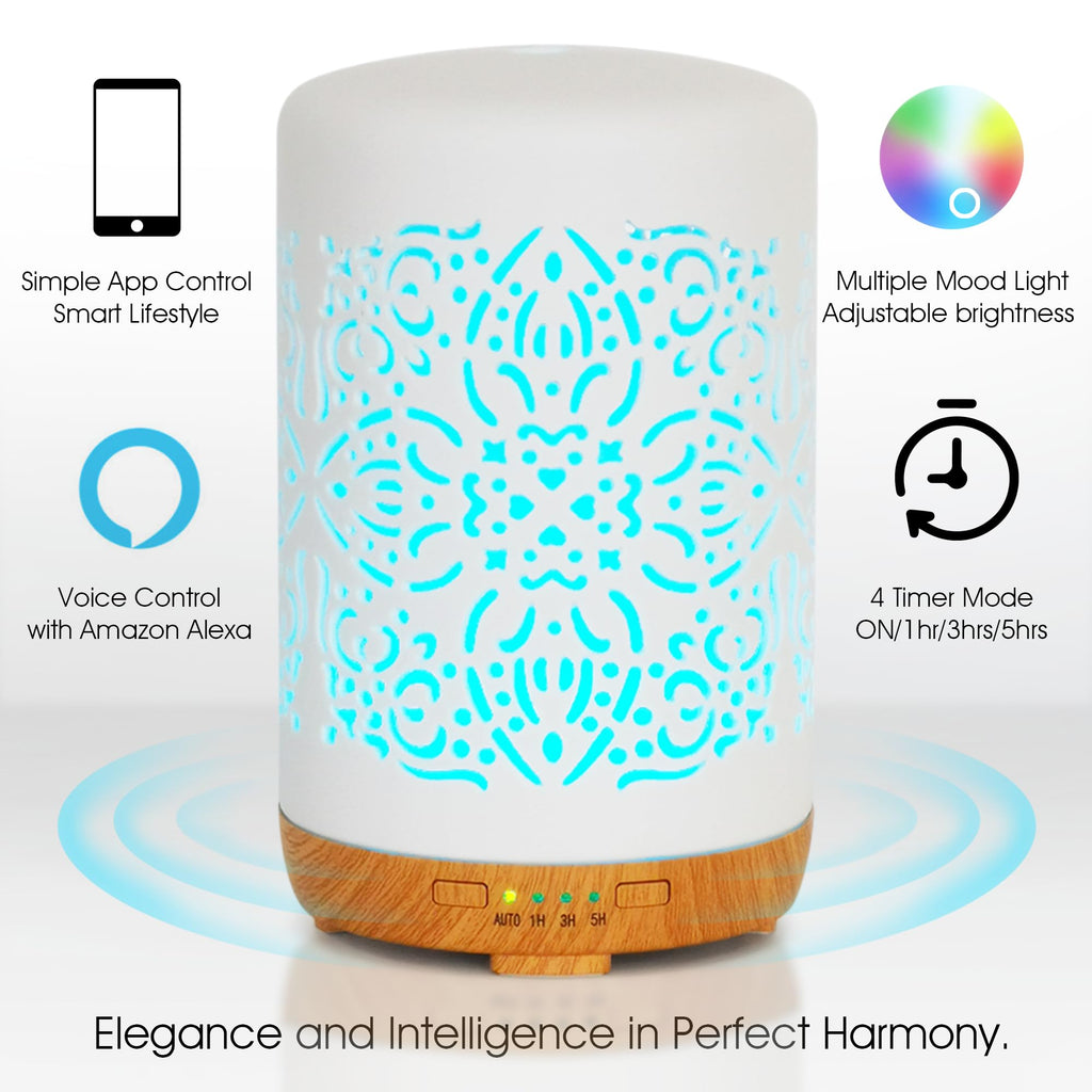 Earnest Living Smart WiFi Essential Oil Diffuser – 250 ml Ceramic Diffuser with Alexa App Control, Auto Off