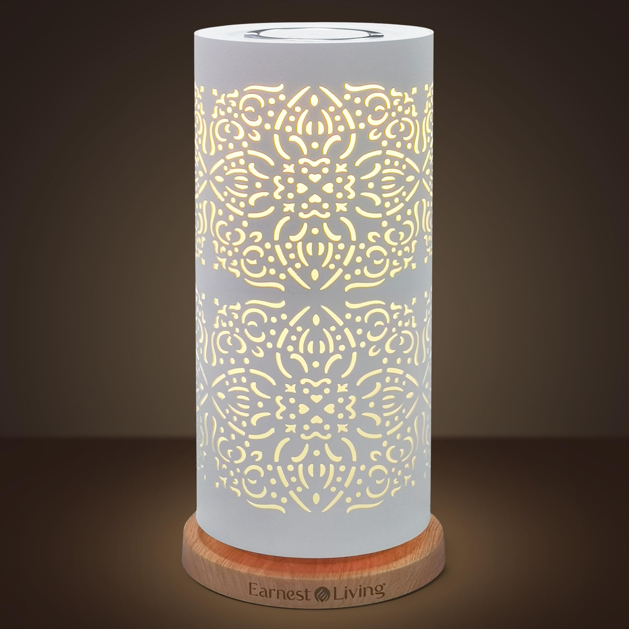 Earnest Living Waterless Diffuser 100ml – Nebulizing Diffusion for Studio, Home, Office