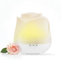 Earnest Living Rose Diffuser 150ml – Mini USB Ultrasonic Humidifier, Quiet Night Light