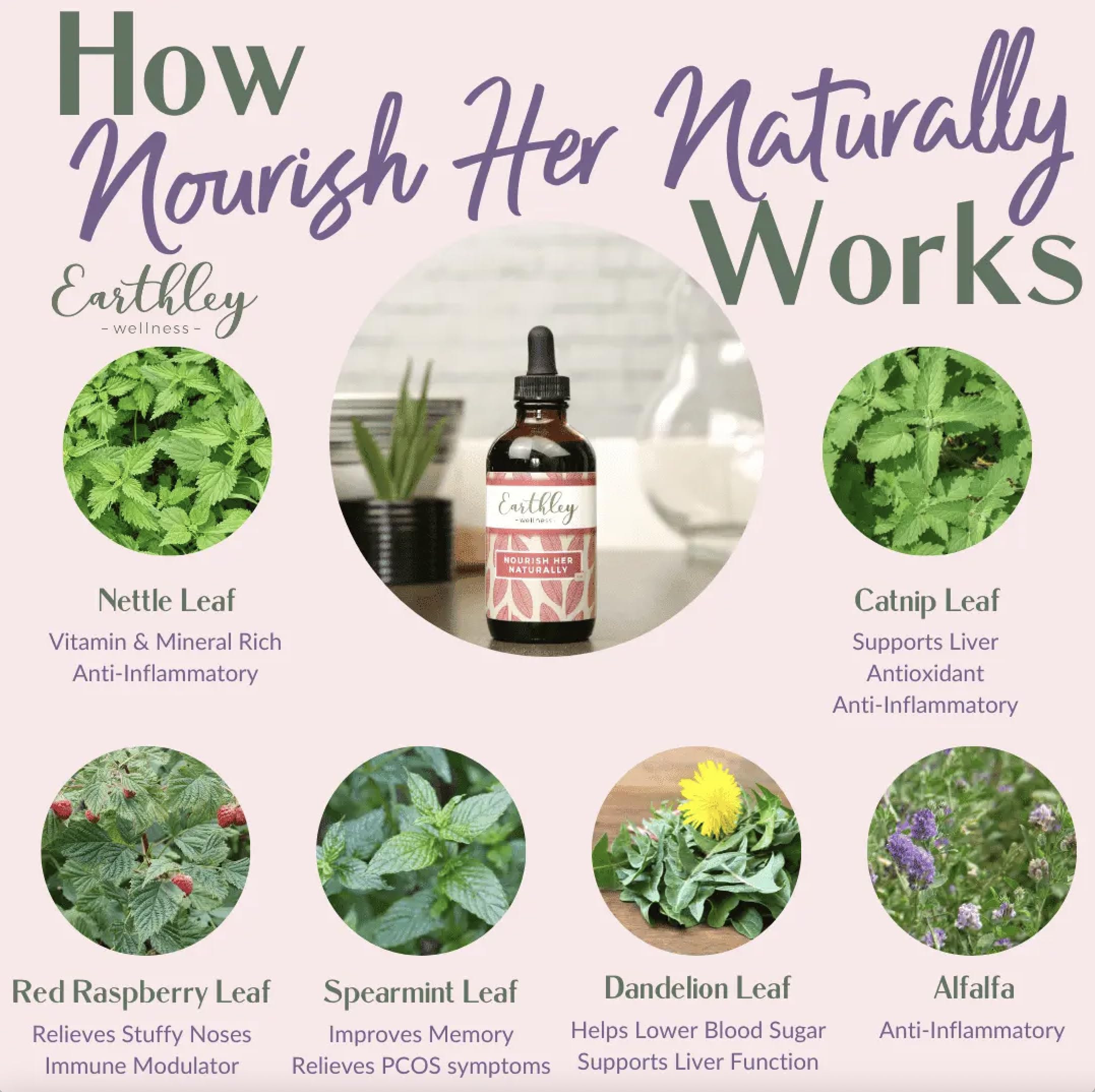 Earthley Nourish Her Naturally – Liquid Botanical Multivitamin for Women (4oz) | Energy & Gut Health