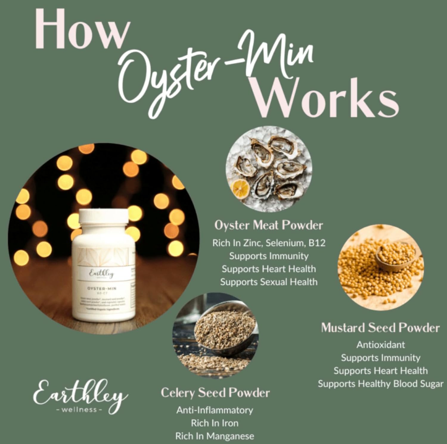 Earthley Oyster-Min Capsules – Natural Zinc & Mineral Supplement for Energy