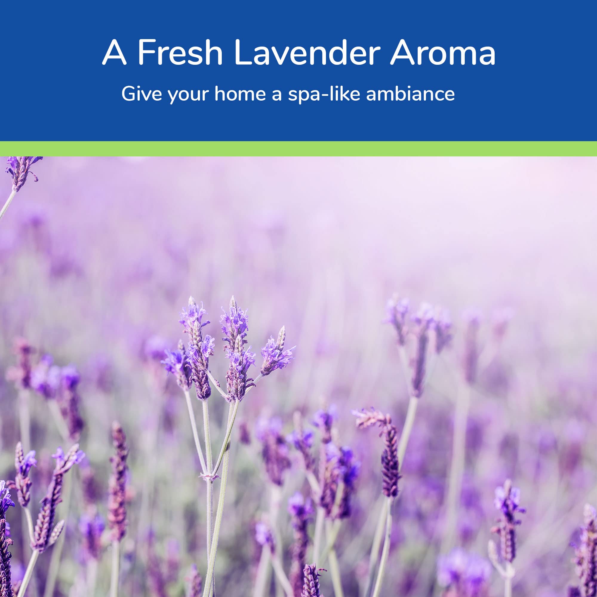 Earth's Care Lavender Oil - Pure Steam Distilled 100% Lavender Essential Oil for Diffuser & Aromatherapy