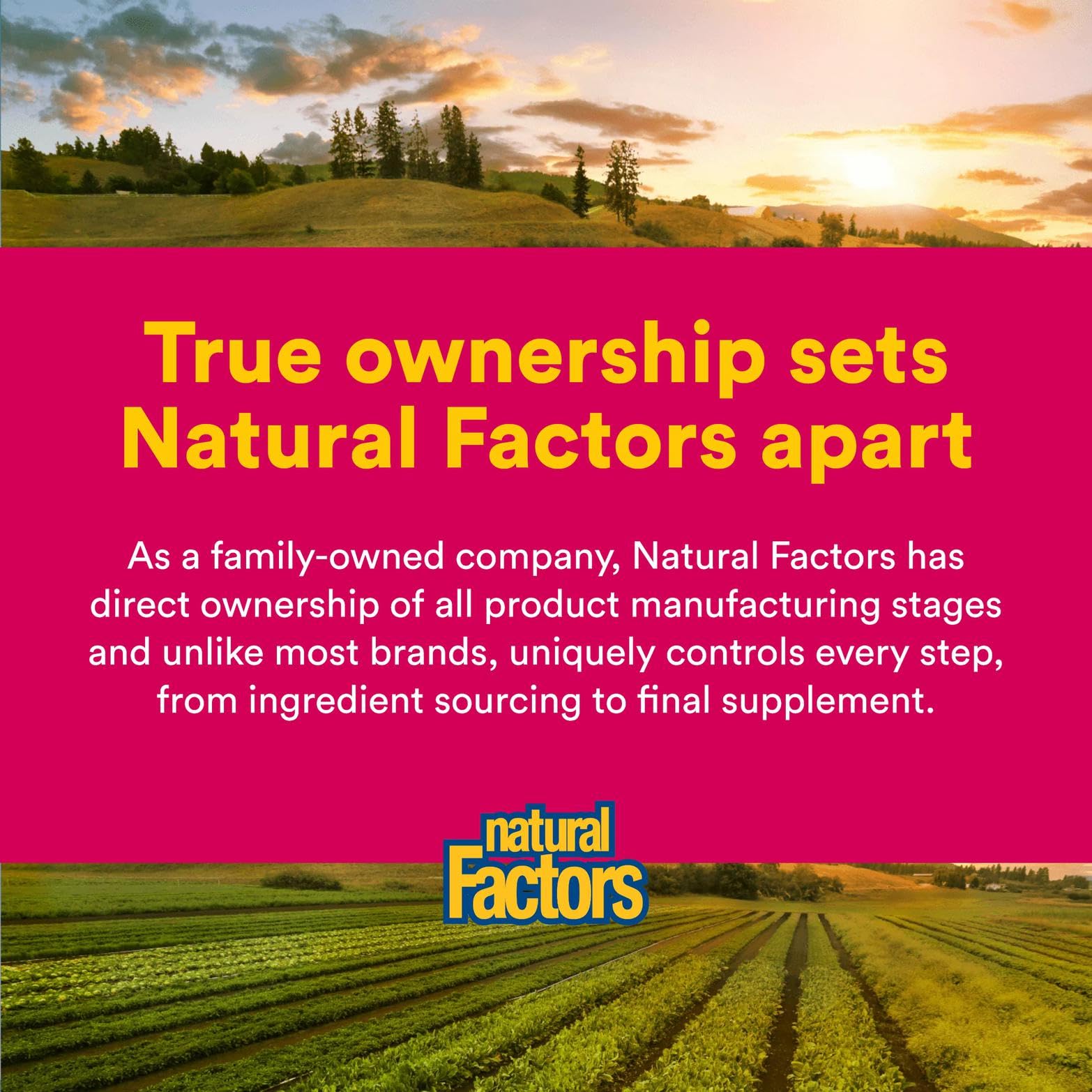 Natural Factors, Echinamide, Echinacea Supplement for Immune and Wellness Support, 60 Softgels