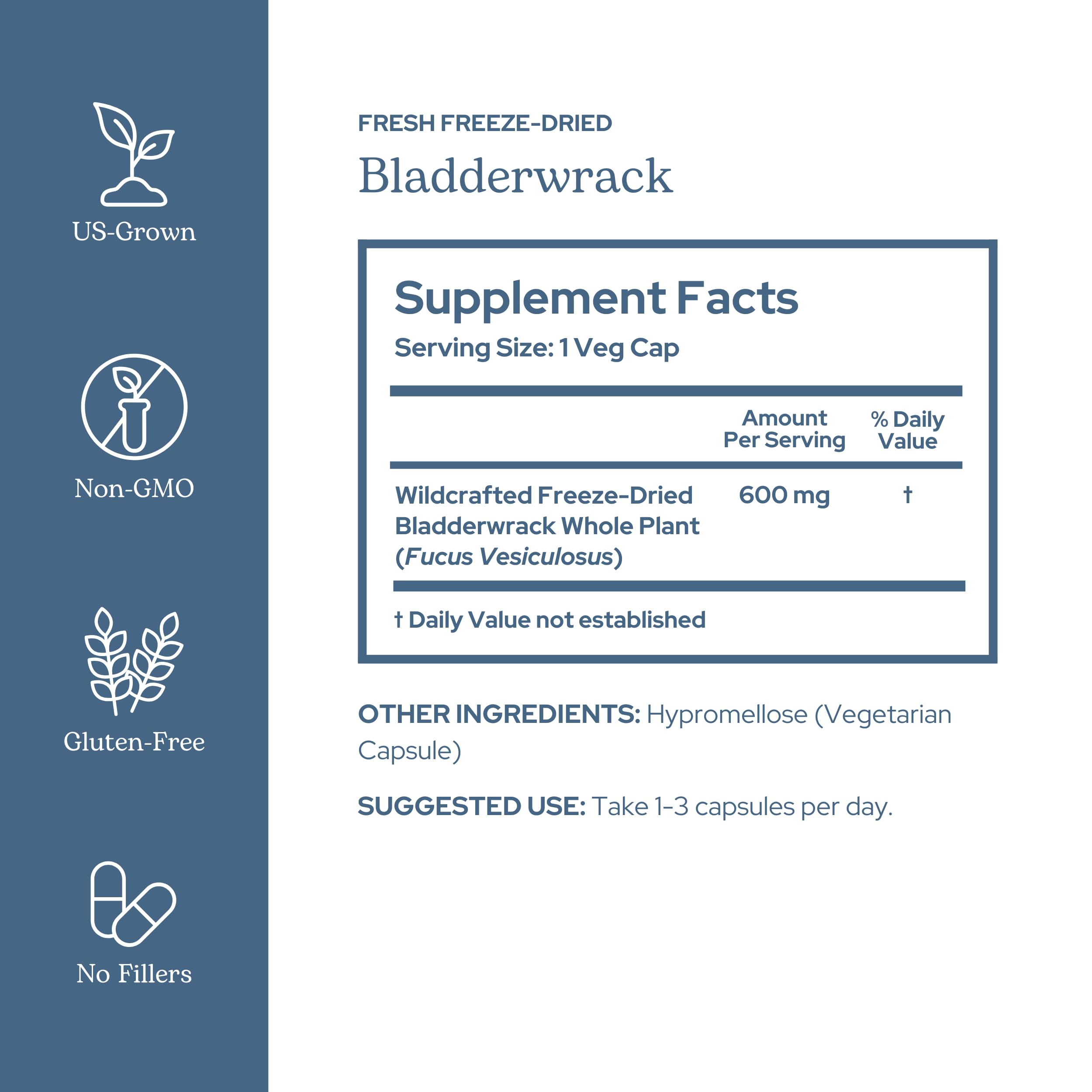Eclectic Herb Bladderwrack Capsules — Freeze-Dried Seaweed for Endocrine Support, Skin & Hair | Vegan, Non-GMO (90 ct, 600 mg)