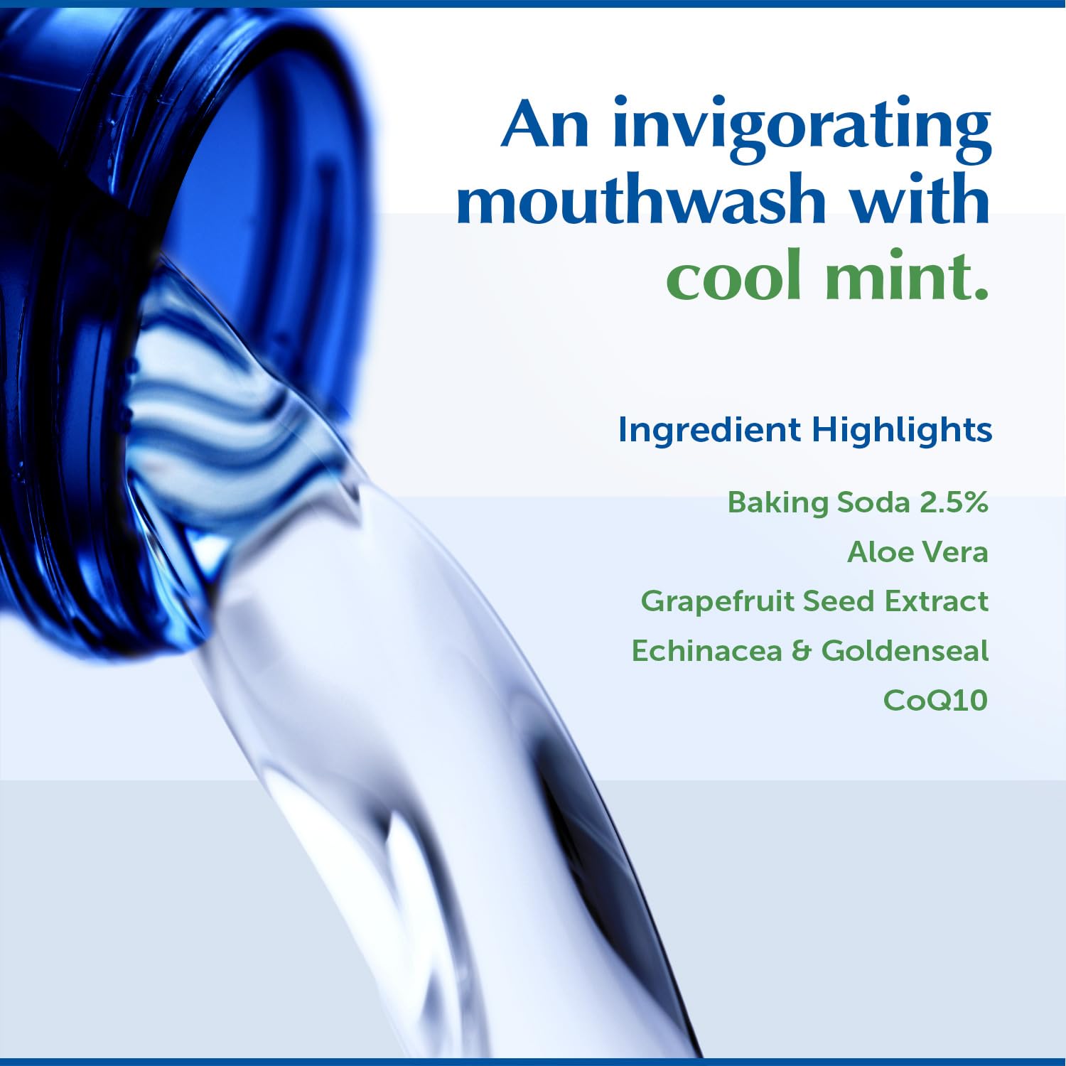 Eco-Dent Alcohol-Free Mint Mouthwash | Baking Soda Rinse for Adults