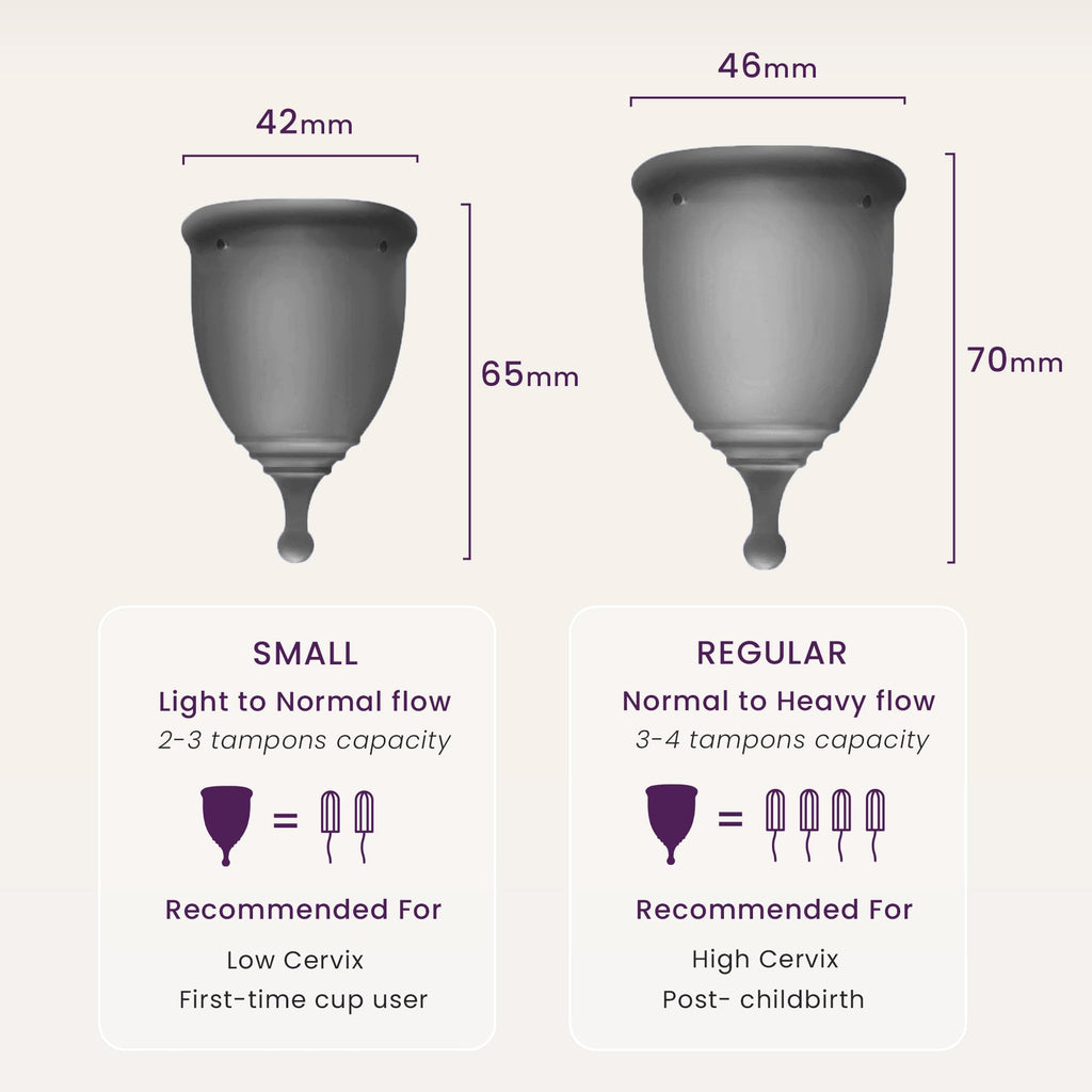 EcoBlossom Reusable Menstrual Cup & Case — Medical-Grade Silicone, 12-Hour Leak-Proof, Pack of 2 (Small & Large, Gray)