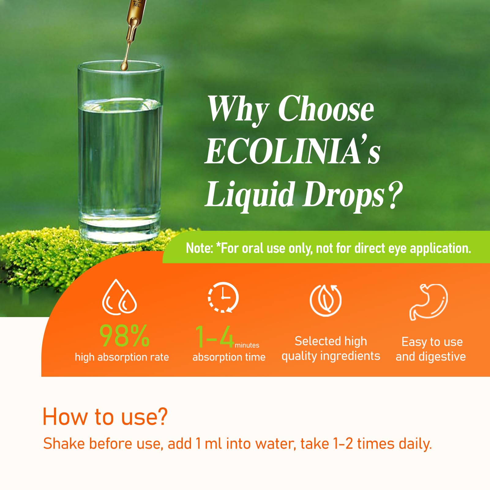 ECOLINIA Eye Health Drops with Eyebright - Vision Support, 2 oz