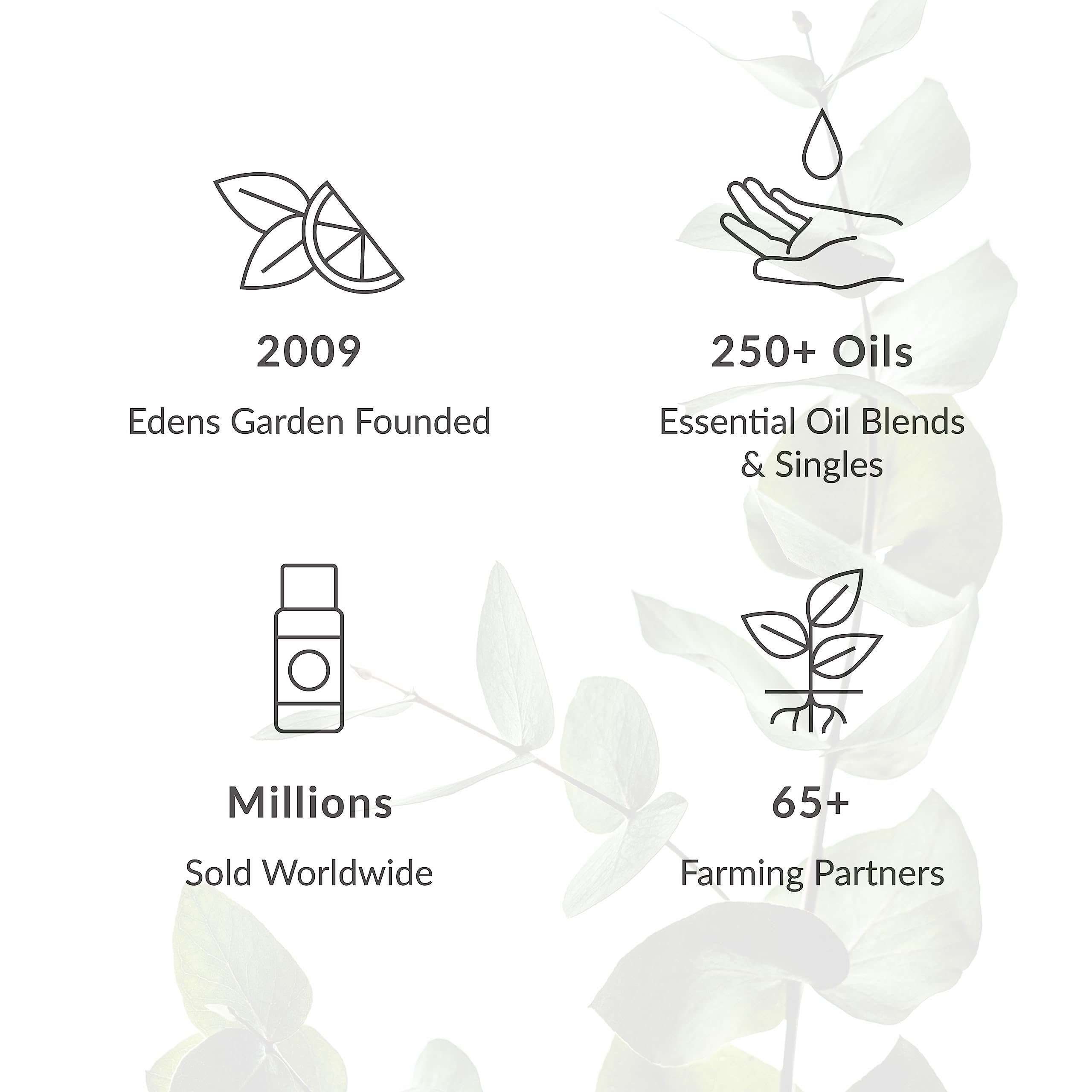 Edens Garden Apricot Kernel Carrier Oil – Pure, Cold-Pressed 118 ml