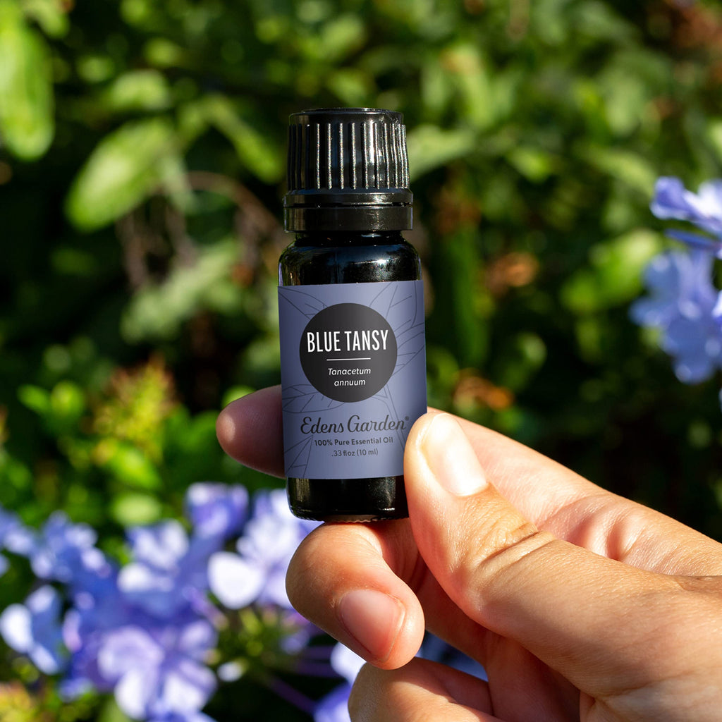Edens Garden Blue Tansy Essential Oil – 100% Pure, Premium Grade, 30 ml