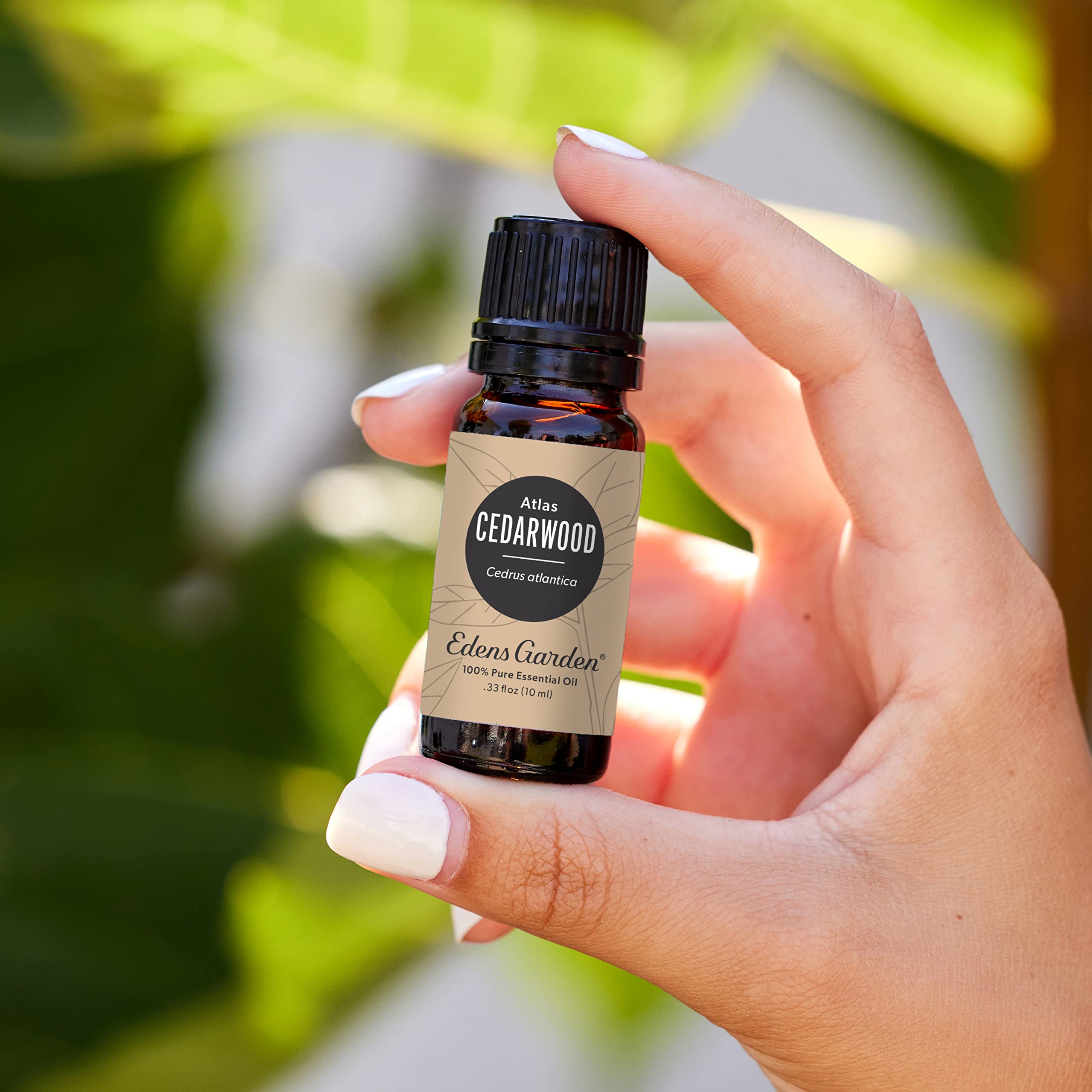 Edens Garden Cedarwood Atlas Essential Oil – 100% Pure Premium Grade, 10 ml