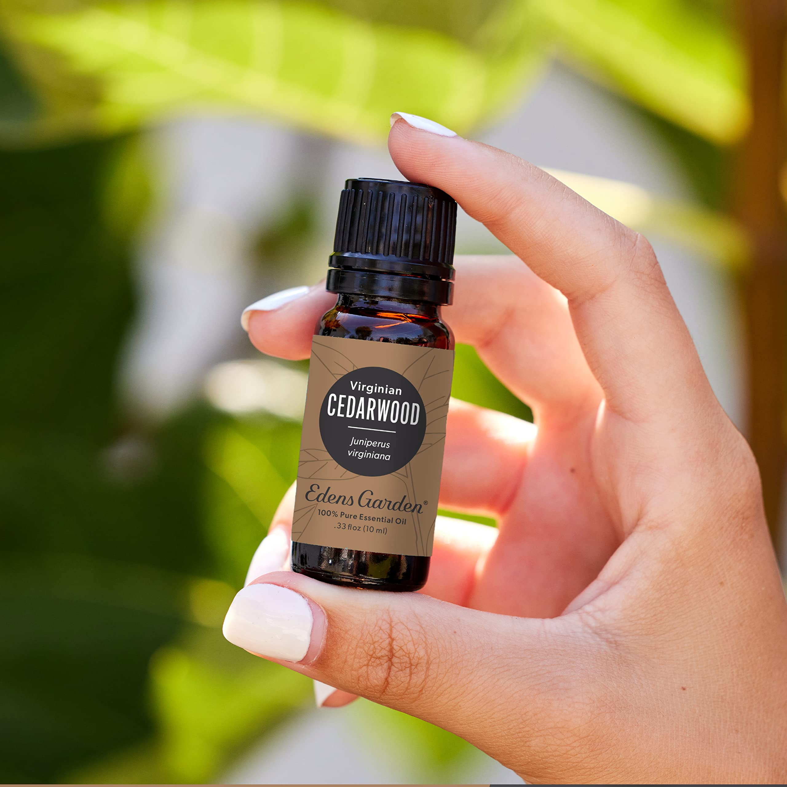 Edens Garden Cedarwood Virginian Essential Oil - 100% Pure, Premium Grade | 10 ml