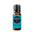Edens Garden Eucalyptus Globulus Essential Oil - 100% Pure Premium Grade, 10 ml