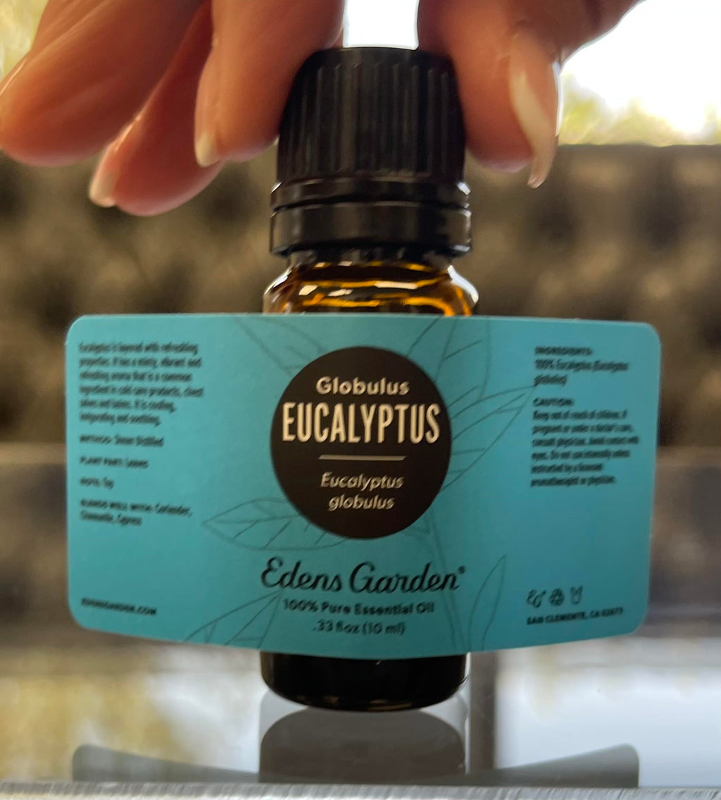 Edens Garden Eucalyptus Globulus Essential Oil - 100% Pure Premium Grade, 10 ml