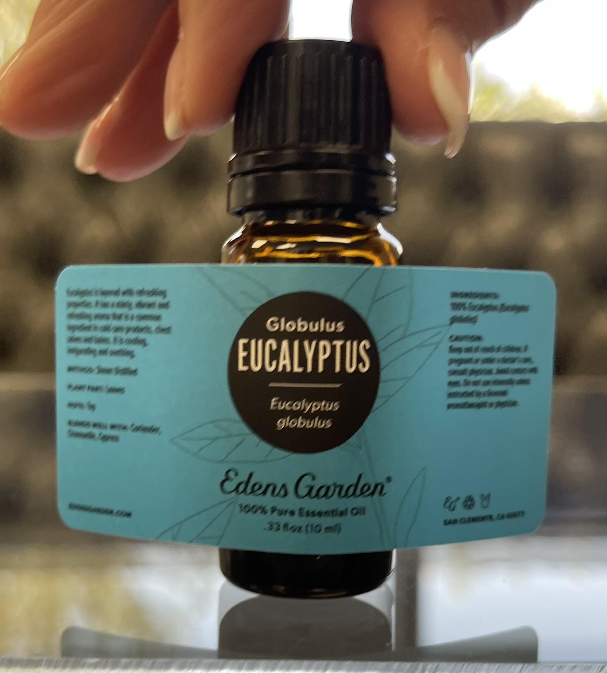 Edens Garden Eucalyptus Globulus Essential Oil - 100% Pure Premium Grade, 10 ml
