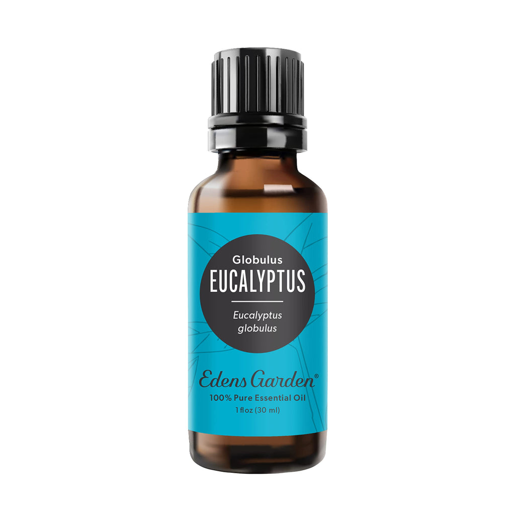 Edens Garden Eucalyptus Globulus Essential Oil - 100% Pure, Premium Grade, 30 ml