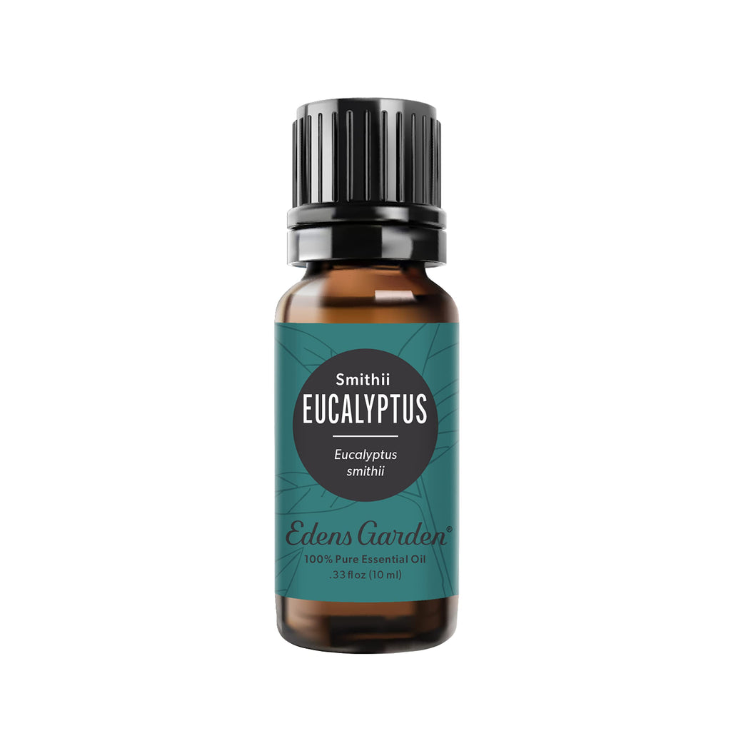 Edens Garden Eucalyptus Smithii Essential Oil - 100% Pure Premium Grade 10 ml