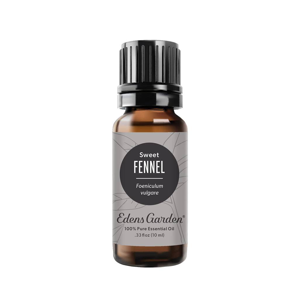 Edens Garden Fennel Sweet Essential Oil – 100% Pure Therapeutic Grade, 10 ml