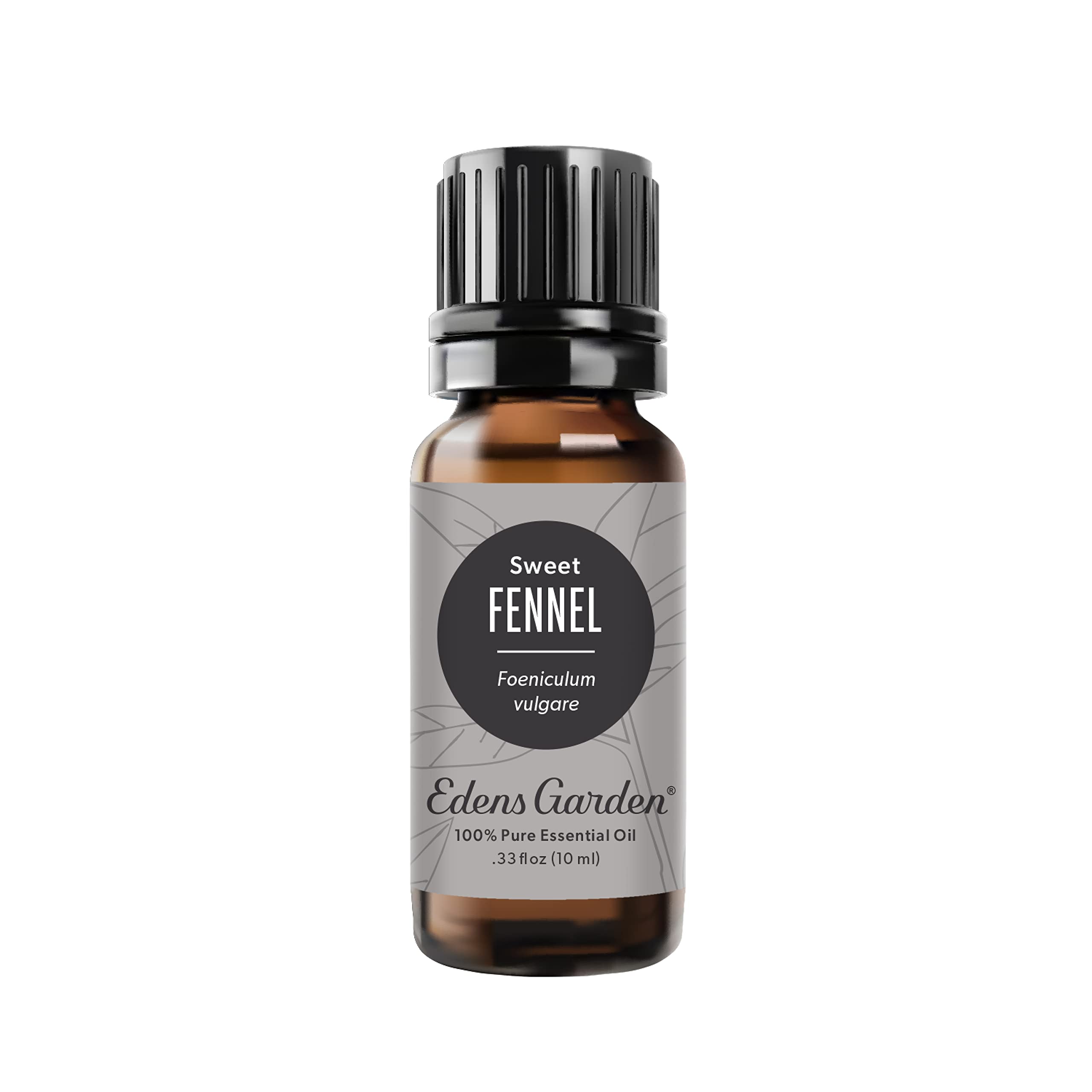 Edens Garden Fennel Sweet Essential Oil – 100% Pure Therapeutic Grade, 10 ml