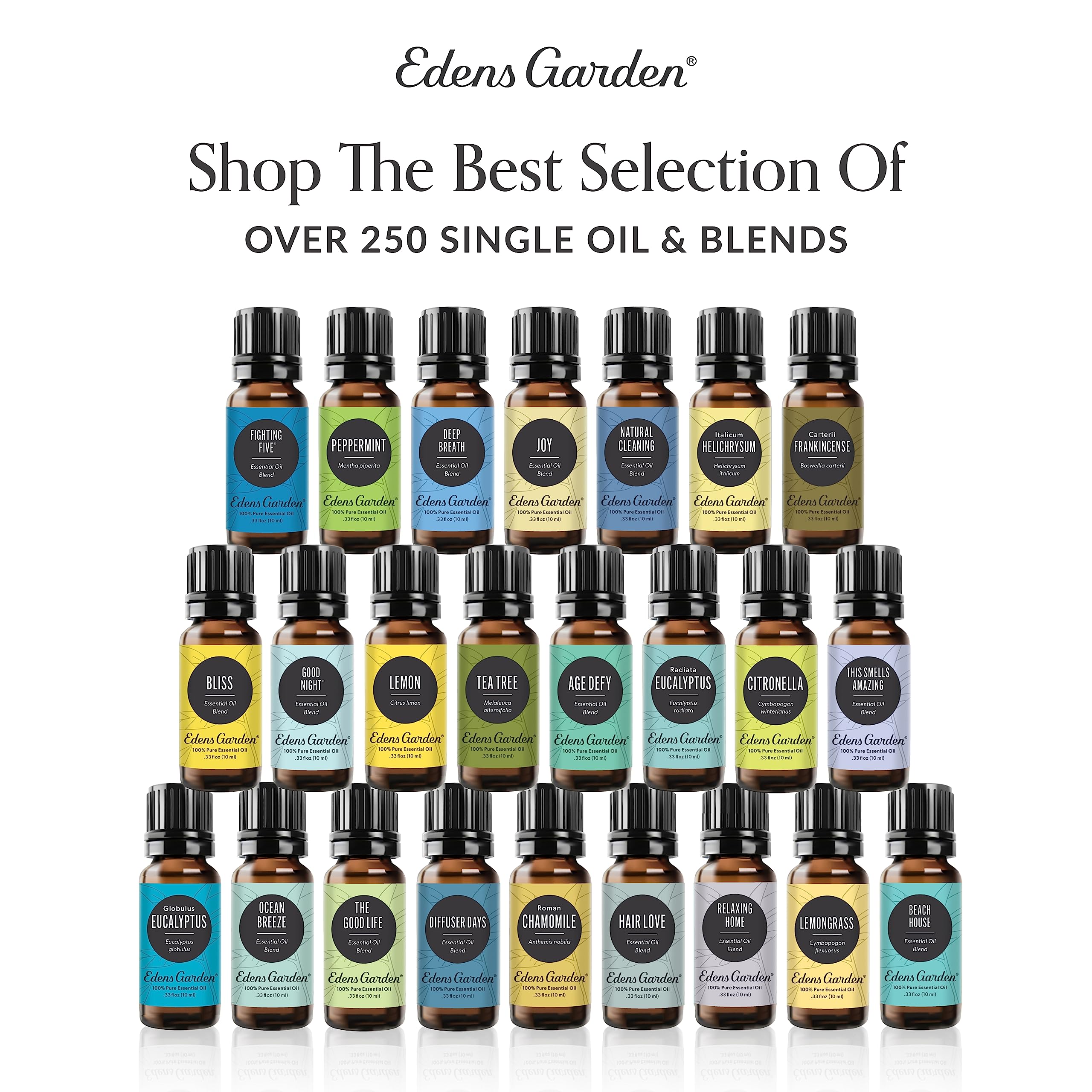 Edens Garden Fennel Sweet Essential Oil – 100% Pure Therapeutic Grade, 10 ml