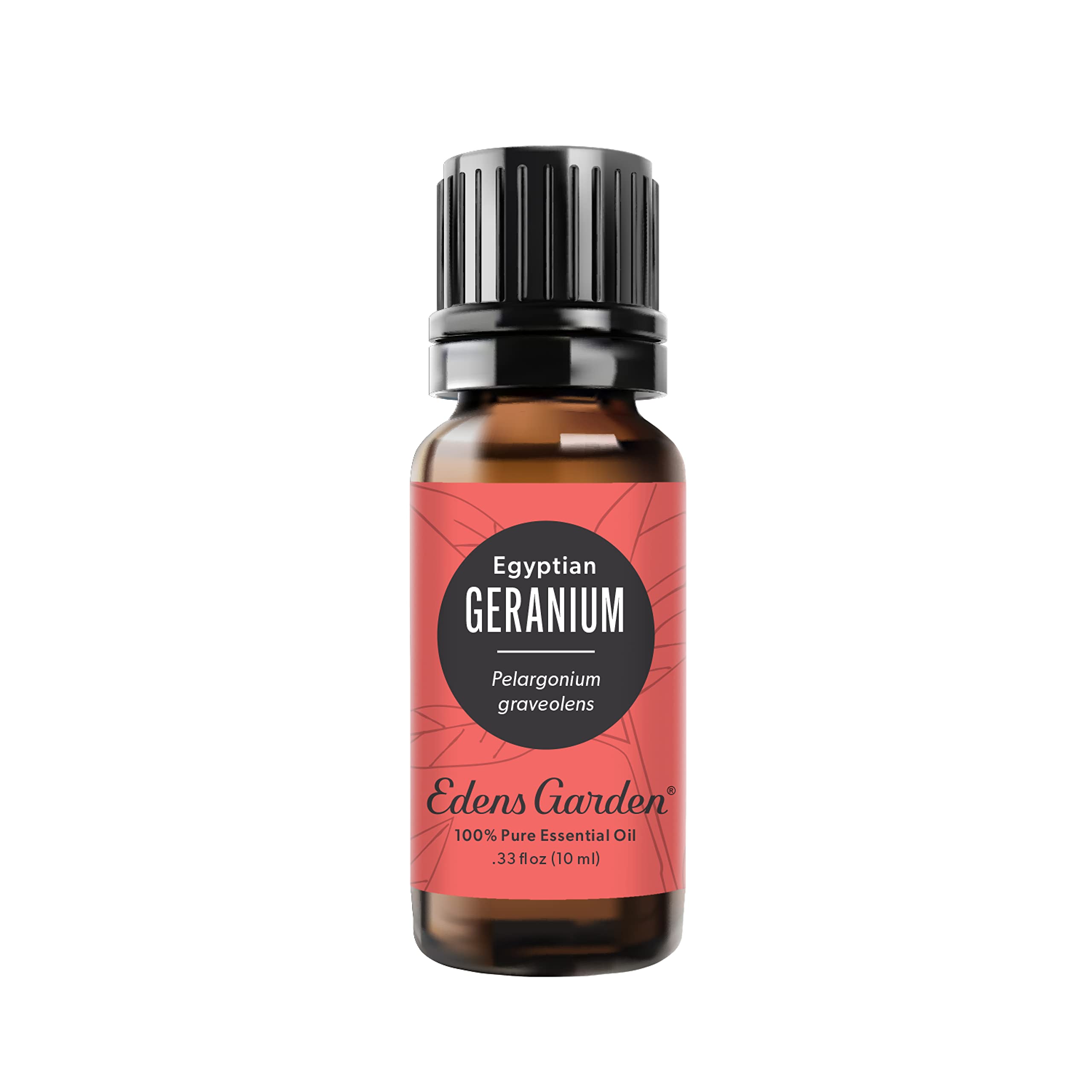 Edens Garden Geranium Egyptian Essential Oil – 100% Pure, Premium Grade, 10 ml