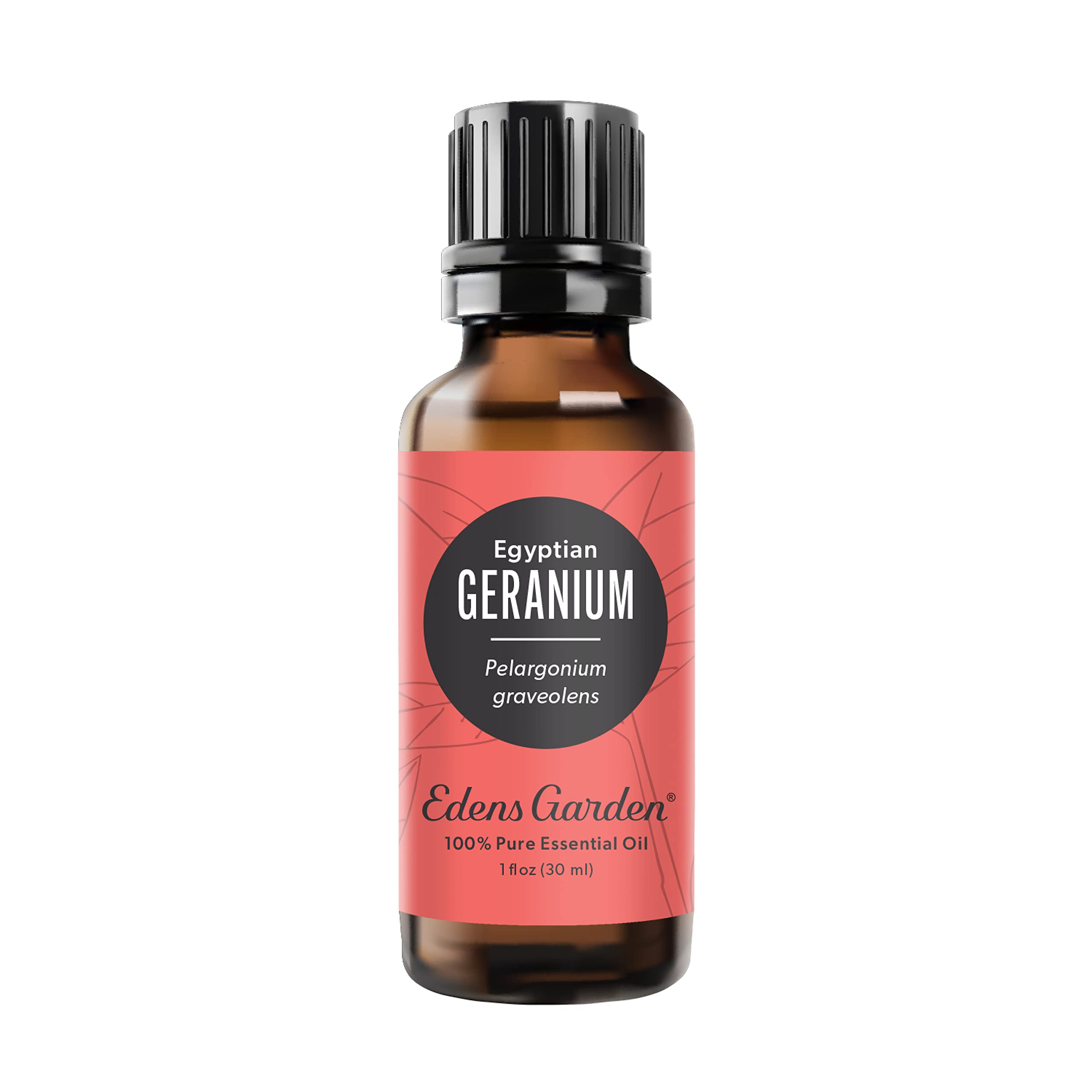 Edens Garden Geranium - Egyptian Essential Oil, 100% Pure Therapeutic Grade, 30 ml