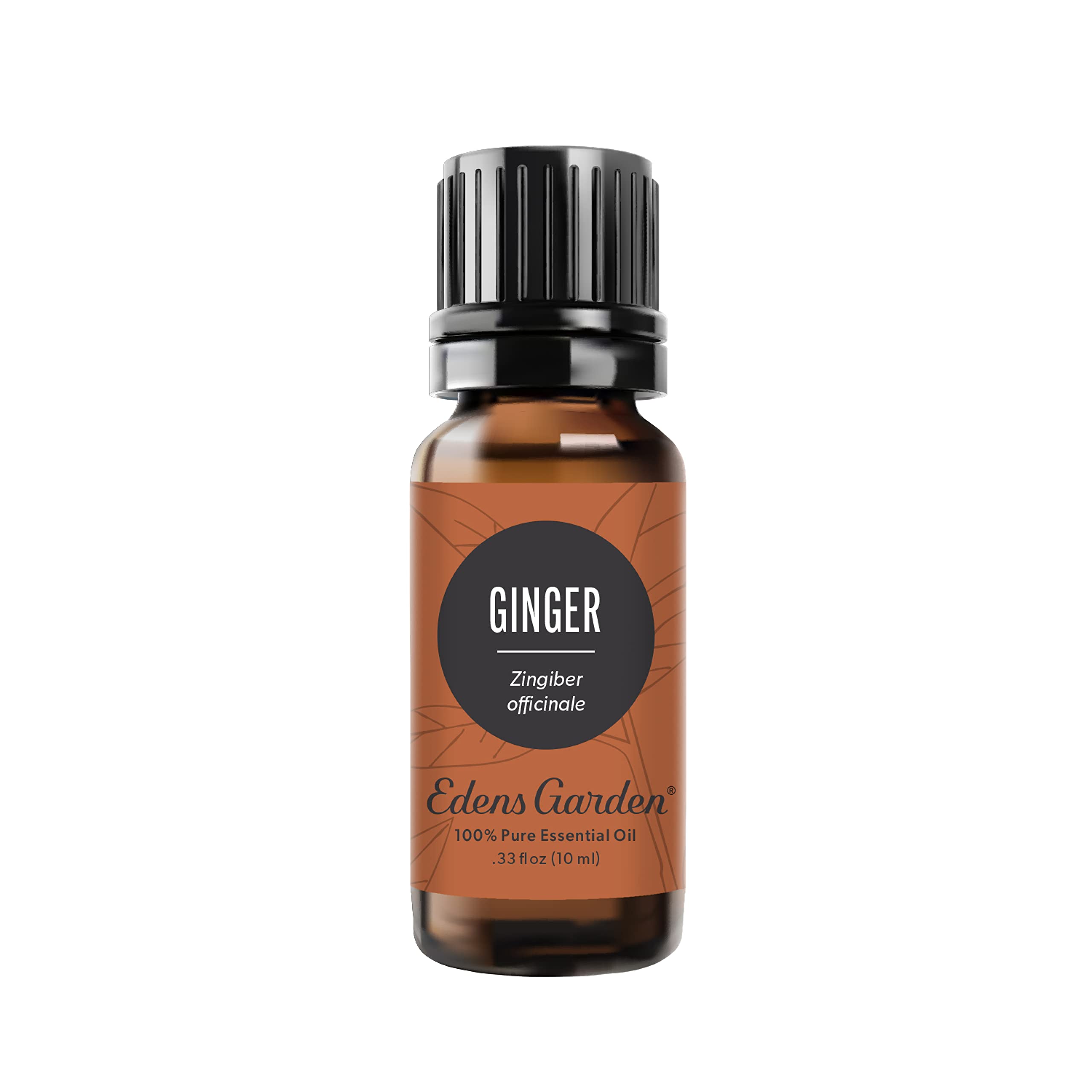 Edens Garden Ginger Essential Oil – 100% Pure, Premium Grade, 10 ml