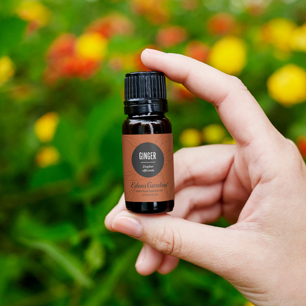 Edens Garden Ginger Essential Oil – 100% Pure, Premium Grade, 10 ml