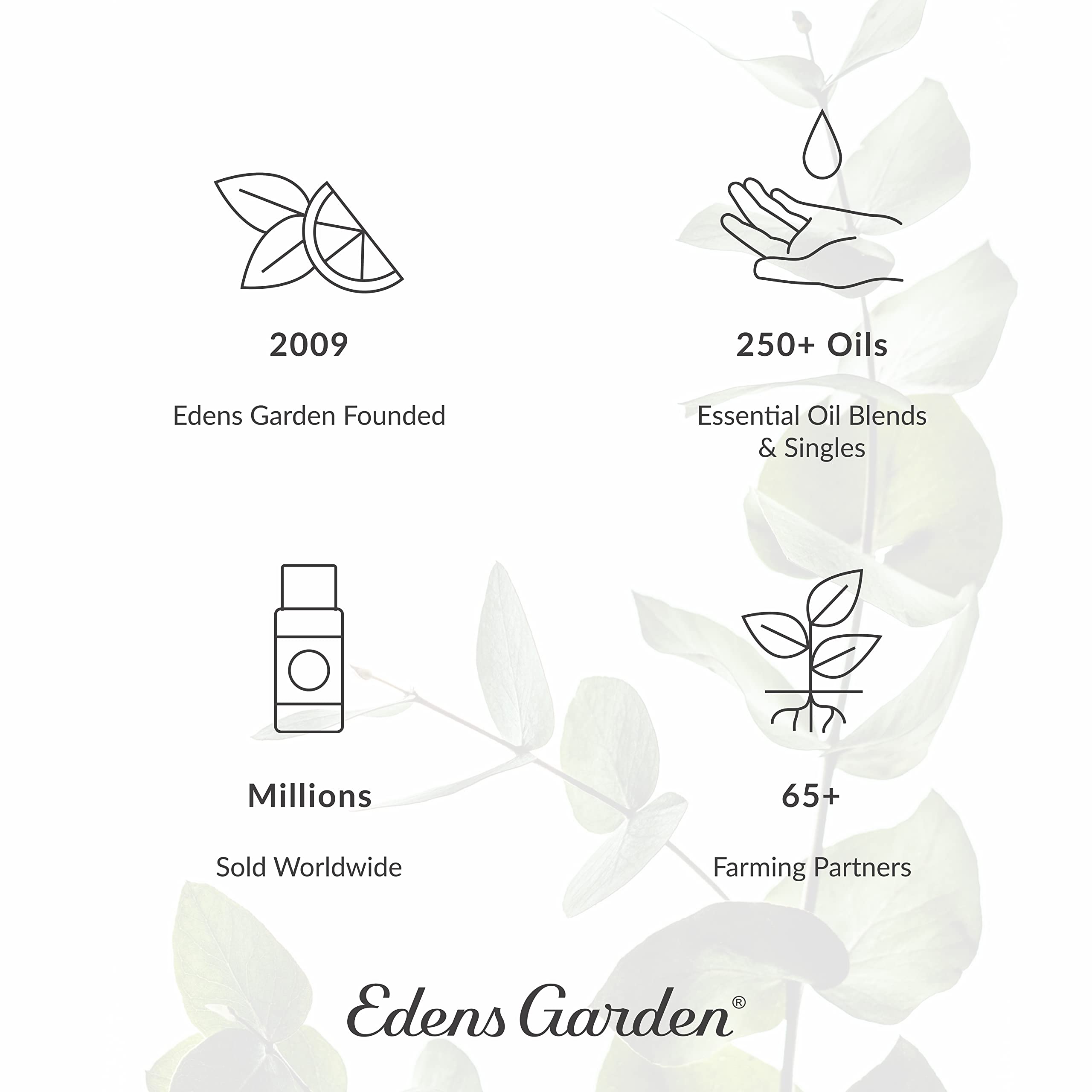 Edens Garden Hot Chocolate Hugs Essential Oil Blend - 100% Pure, Premium Grade, 10 ml