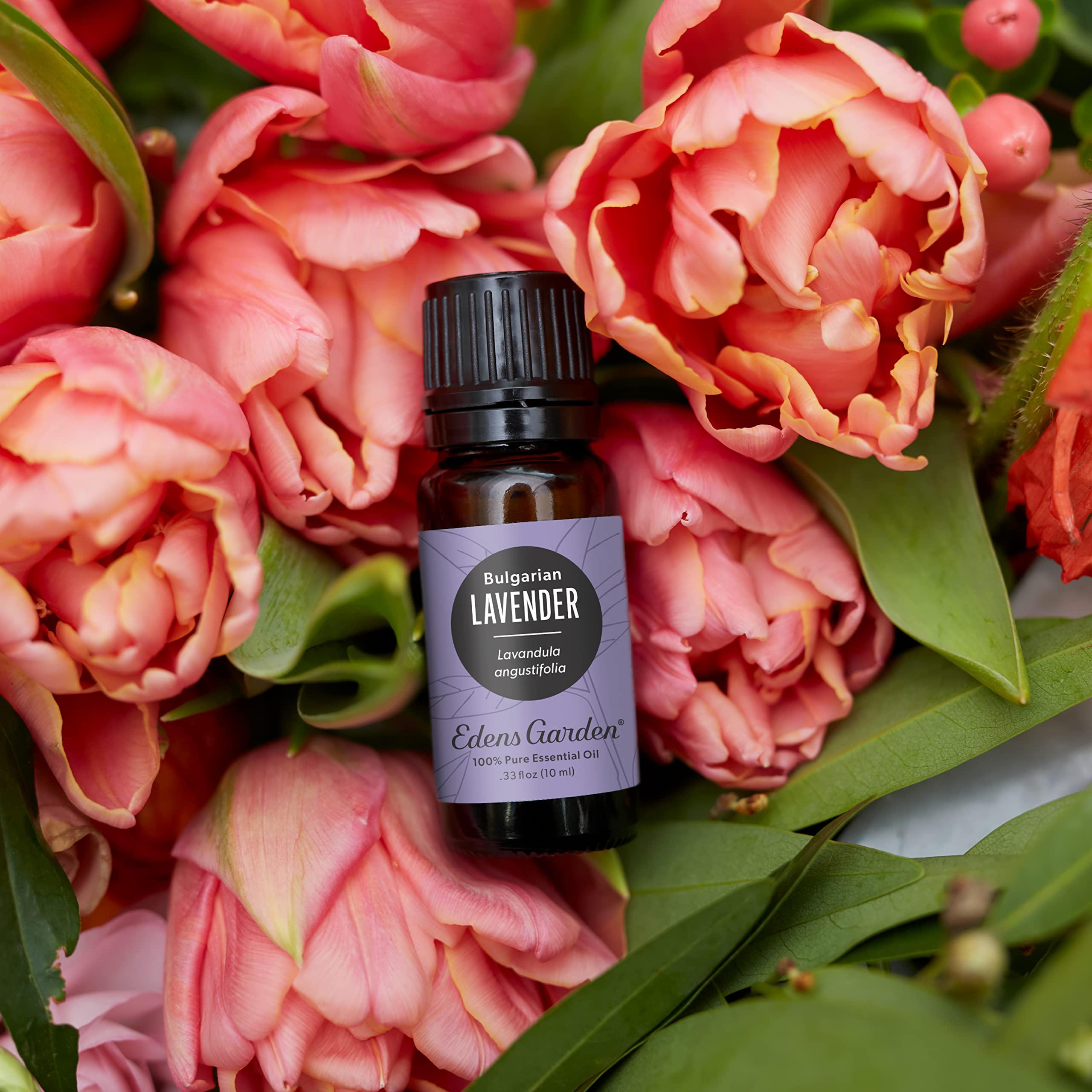 Edens Garden Lavender Bulgarian Essential Oil – 100% Pure Premium Grade (30 ml) for Aromatherapy, Diffuser, Skin